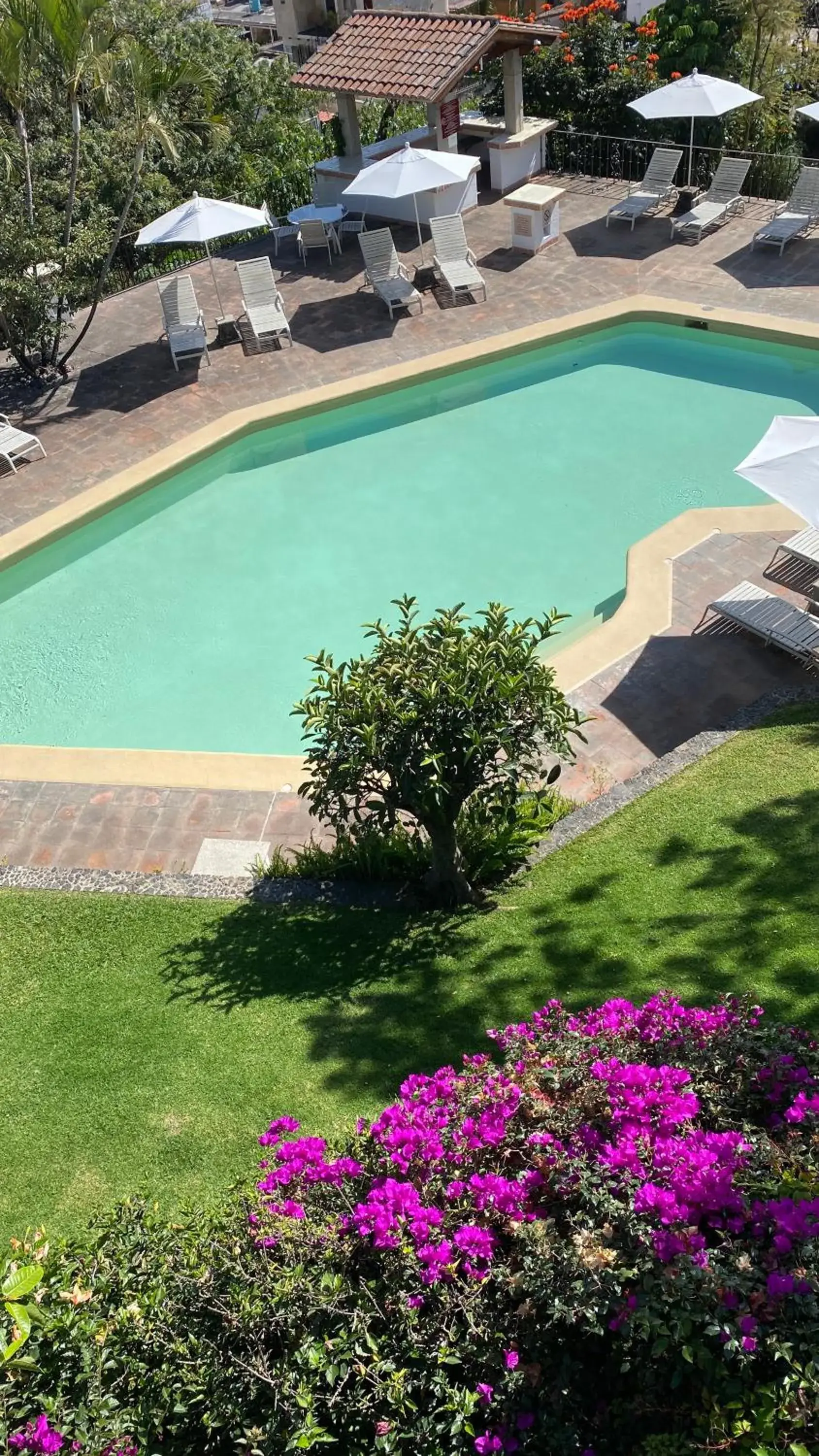 Garden view, Pool View in Posada del Tepozteco