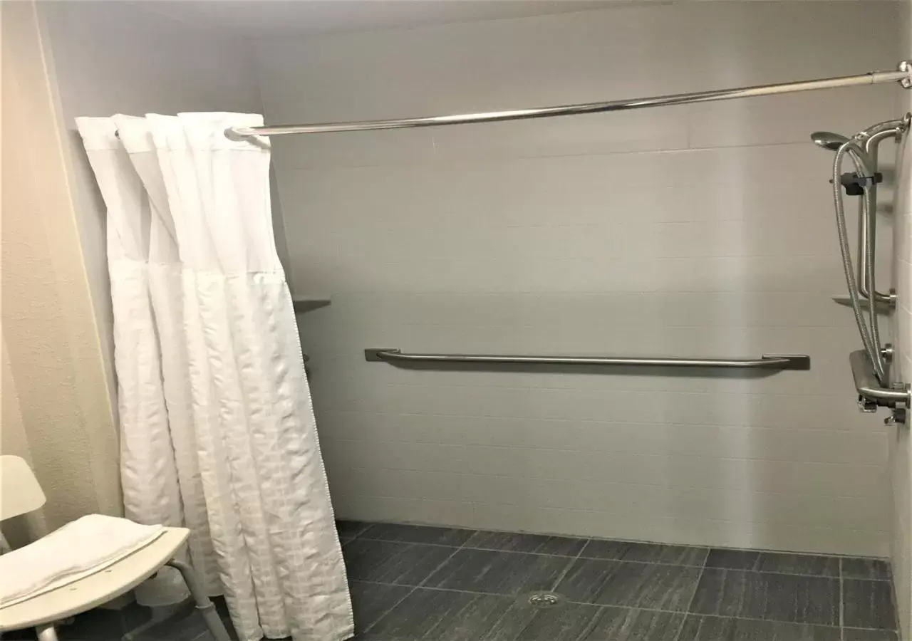 Shower, Bathroom in Comfort Suites Airport Nashville