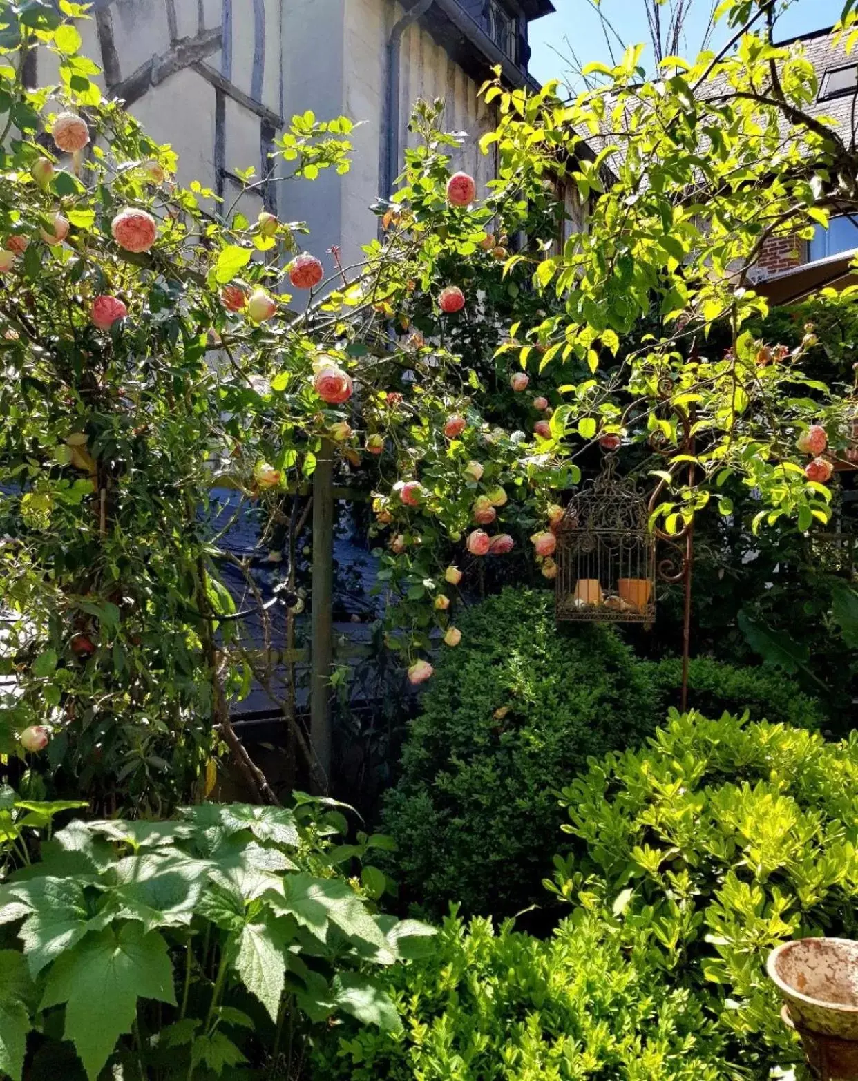 Garden in La Cour Sainte Catherine demeure de charme