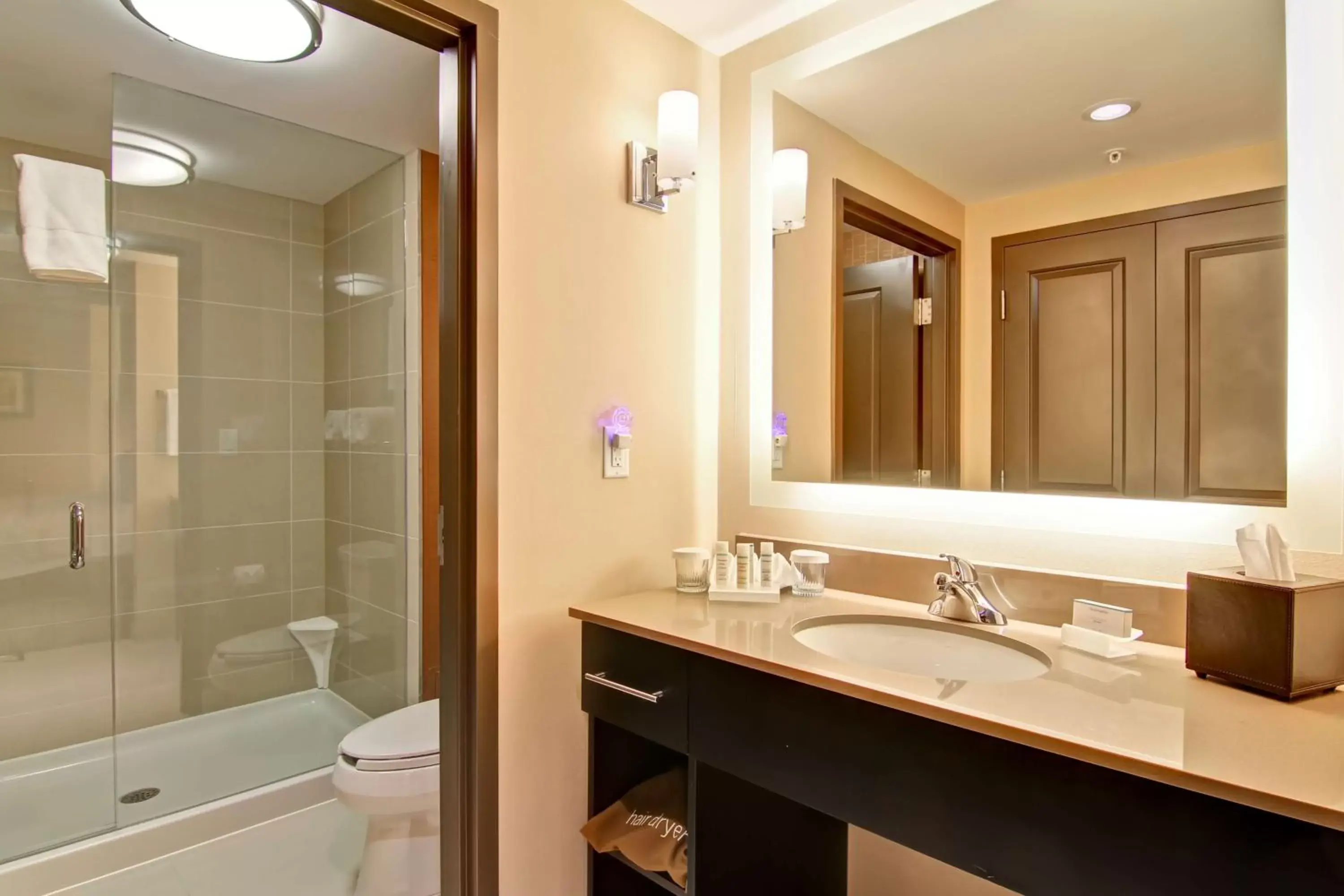 Bathroom in Homewood Suites by Hilton Waterloo/St. Jacobs