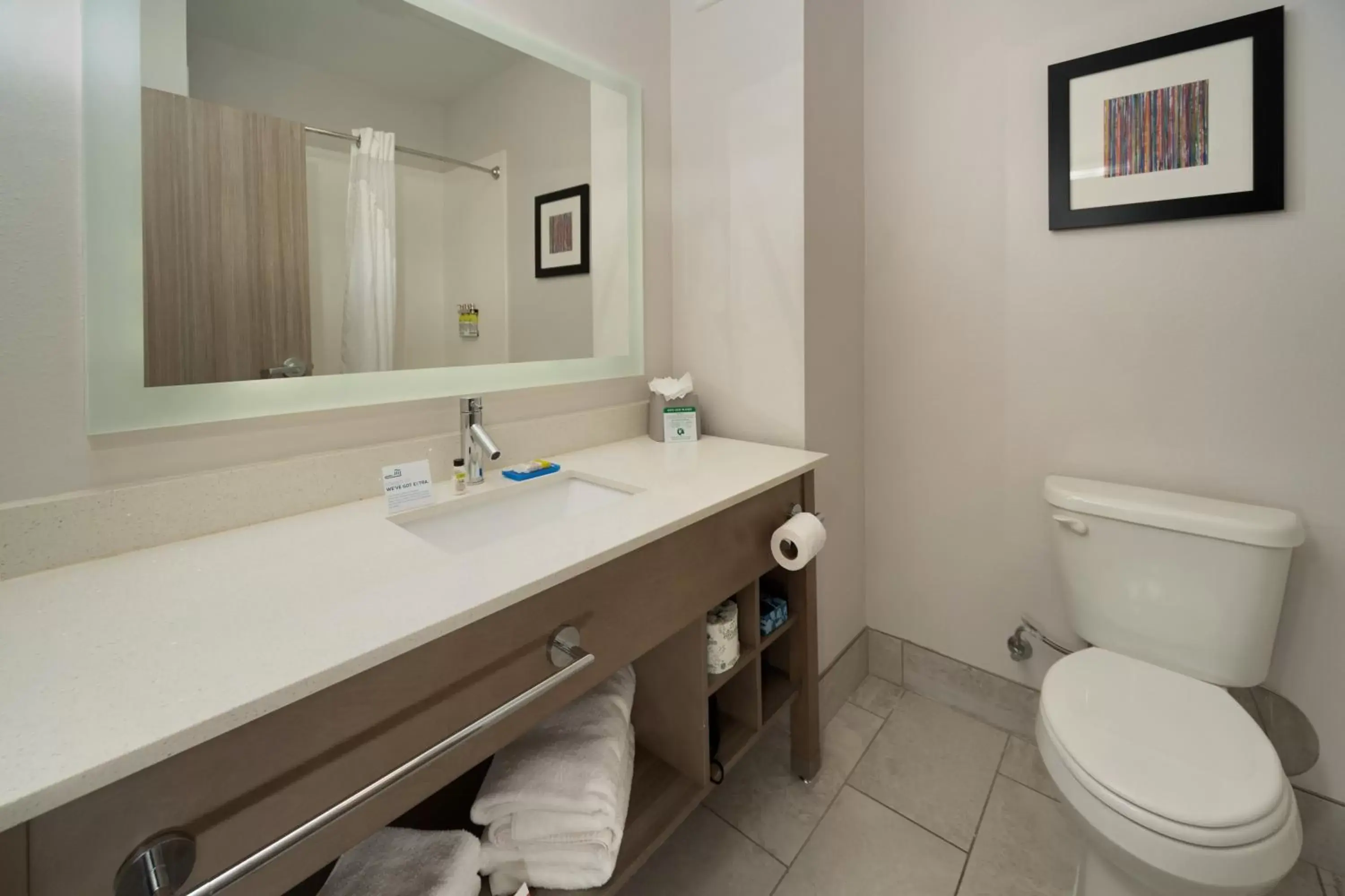 Bathroom in Holiday Inn Express & Suites Memphis Arpt Elvis Presley Blv, an IHG Hotel