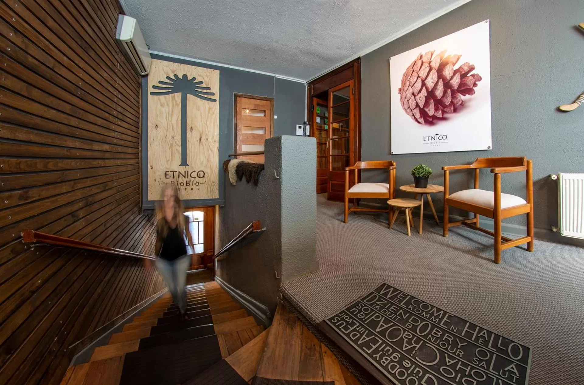 Lobby or reception in Etnico Bío Bío Hotel