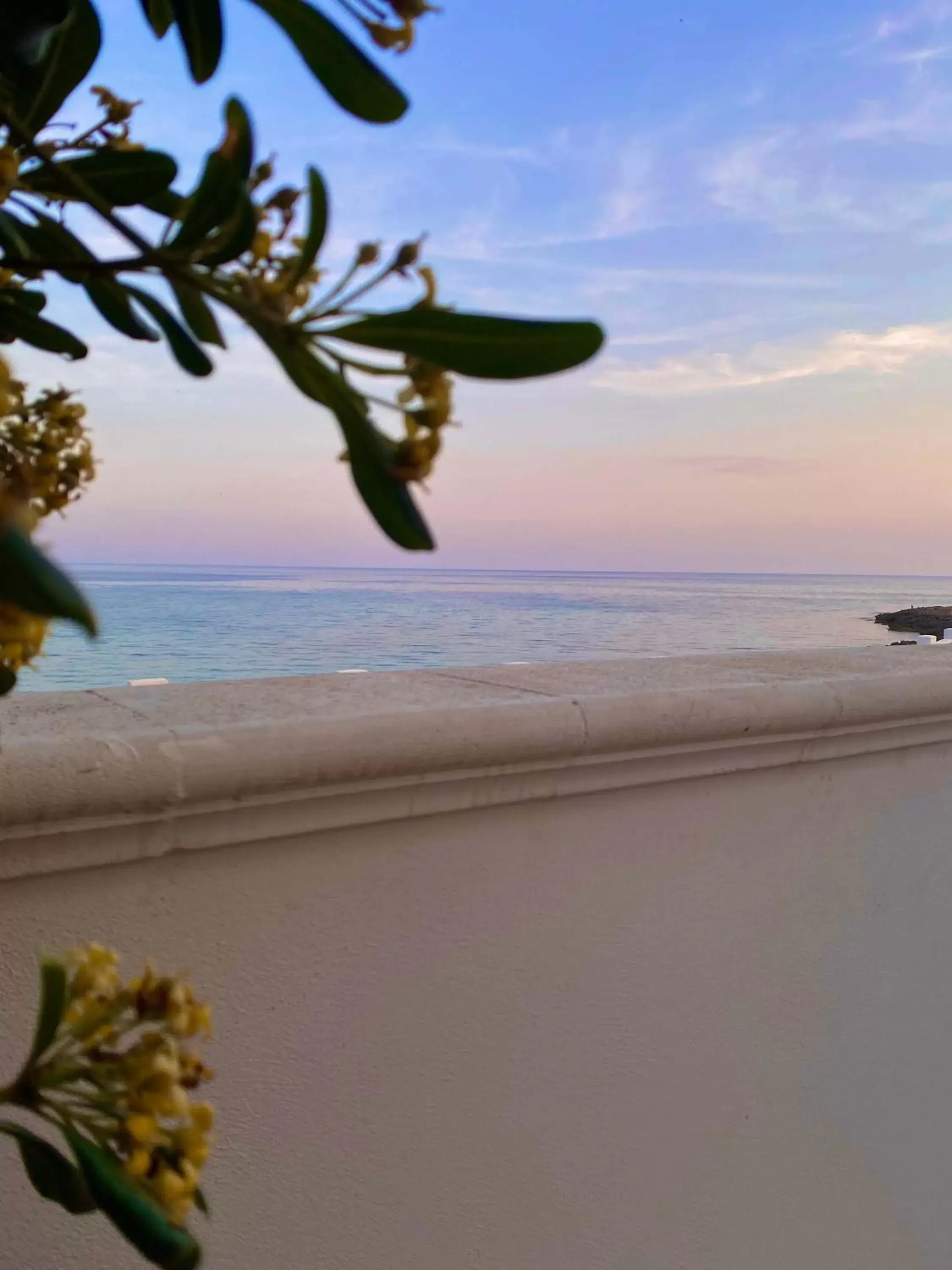 Natural landscape, Beach in BlueBay Residence Resort