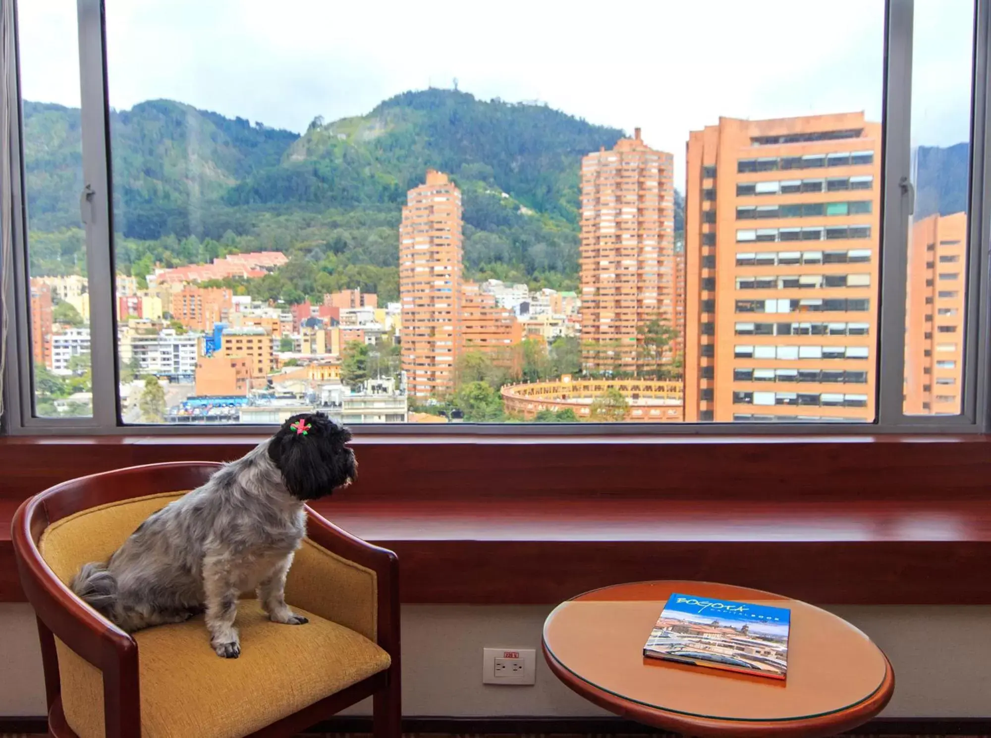Pets in Tequendama Suites and Hotel