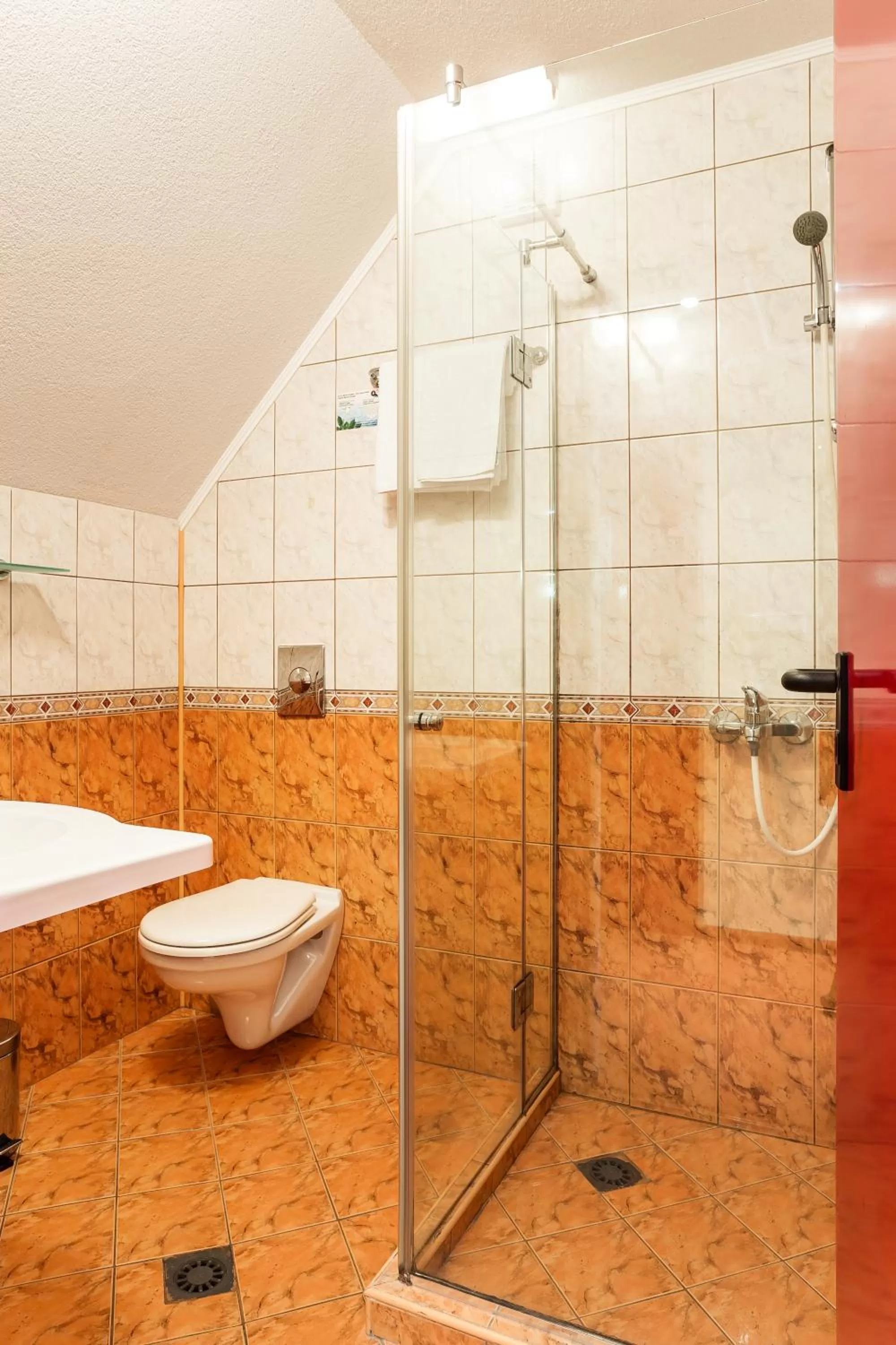 Bathroom in Saint George Hotel & Medical Spa