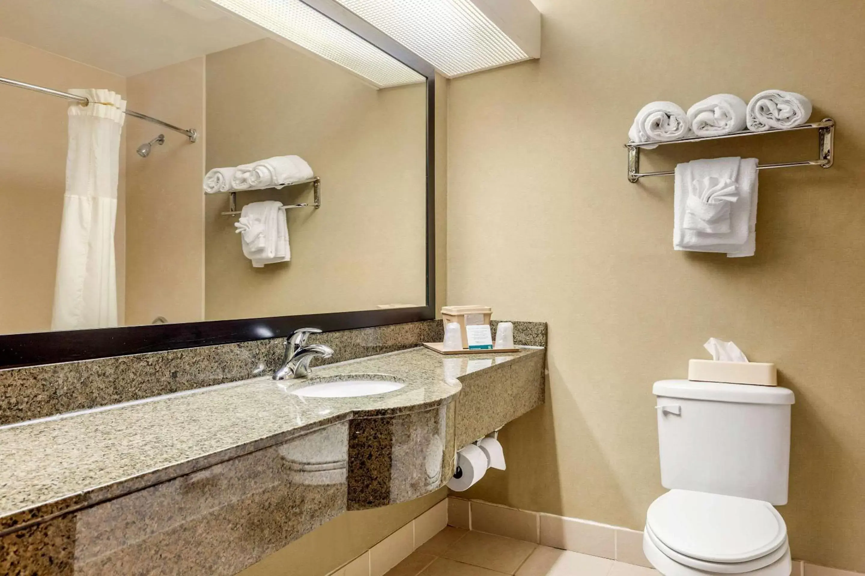 Photo of the whole room, Bathroom in Quality Suites Sherman