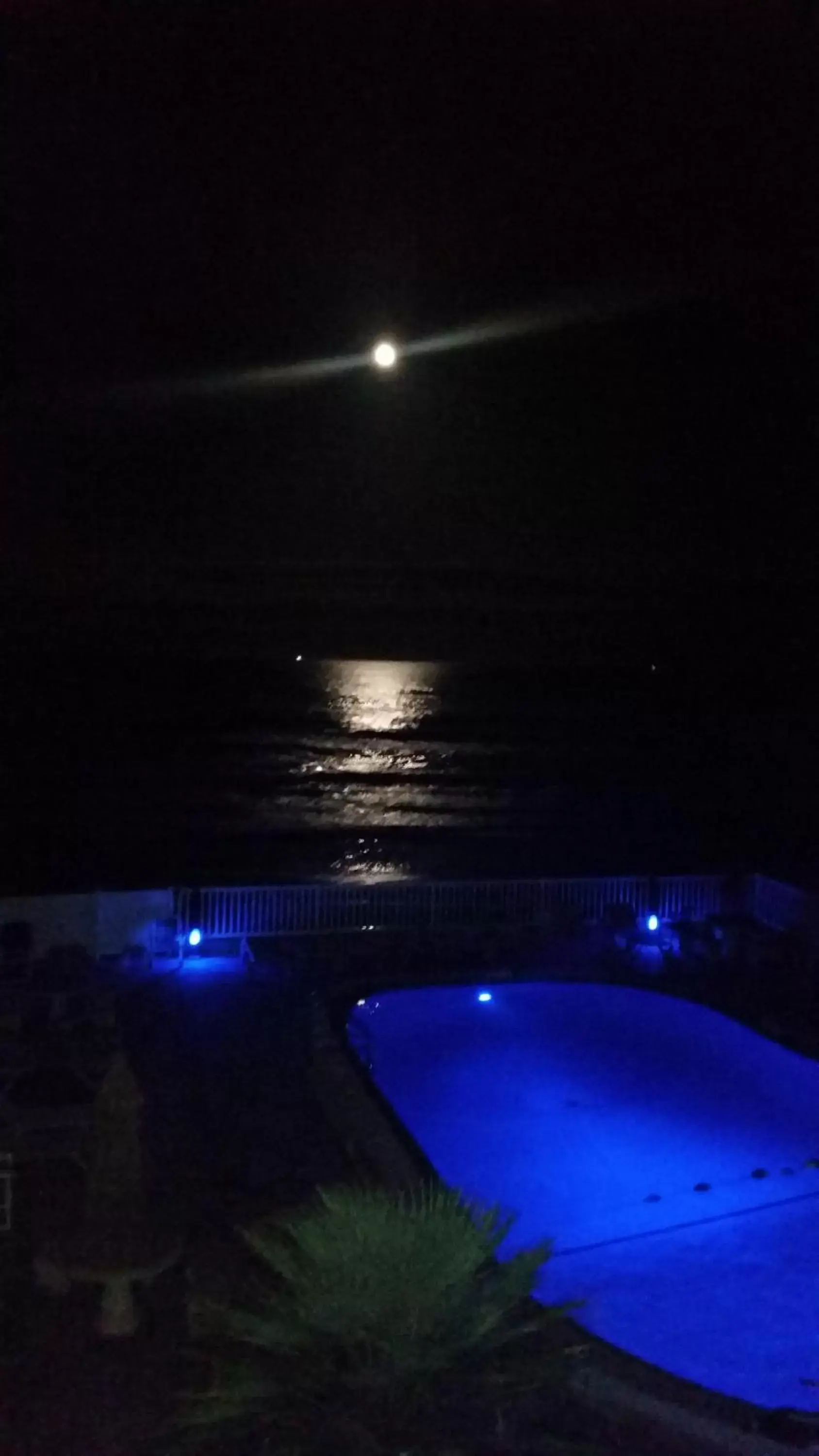 Night, Pool View in Driftwood Beach Motel