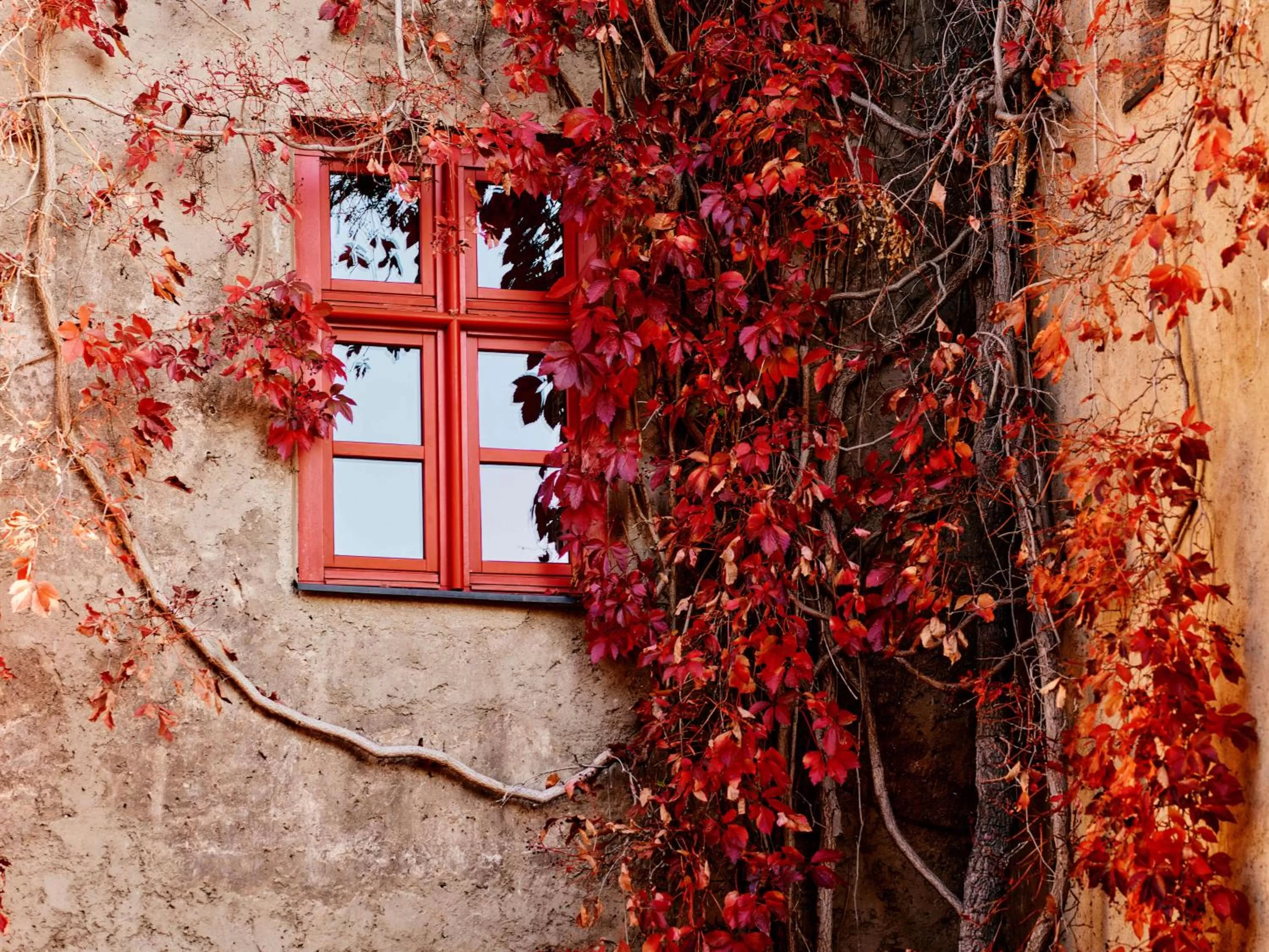 Property building in TAUROA Schloss Gabelhofen