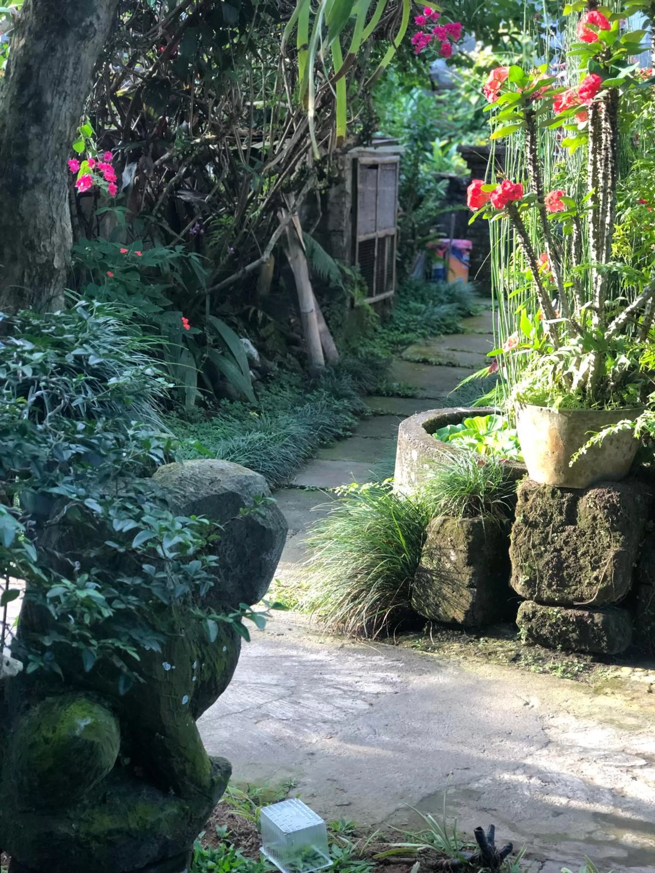 Garden in The Hidden Bali Inn