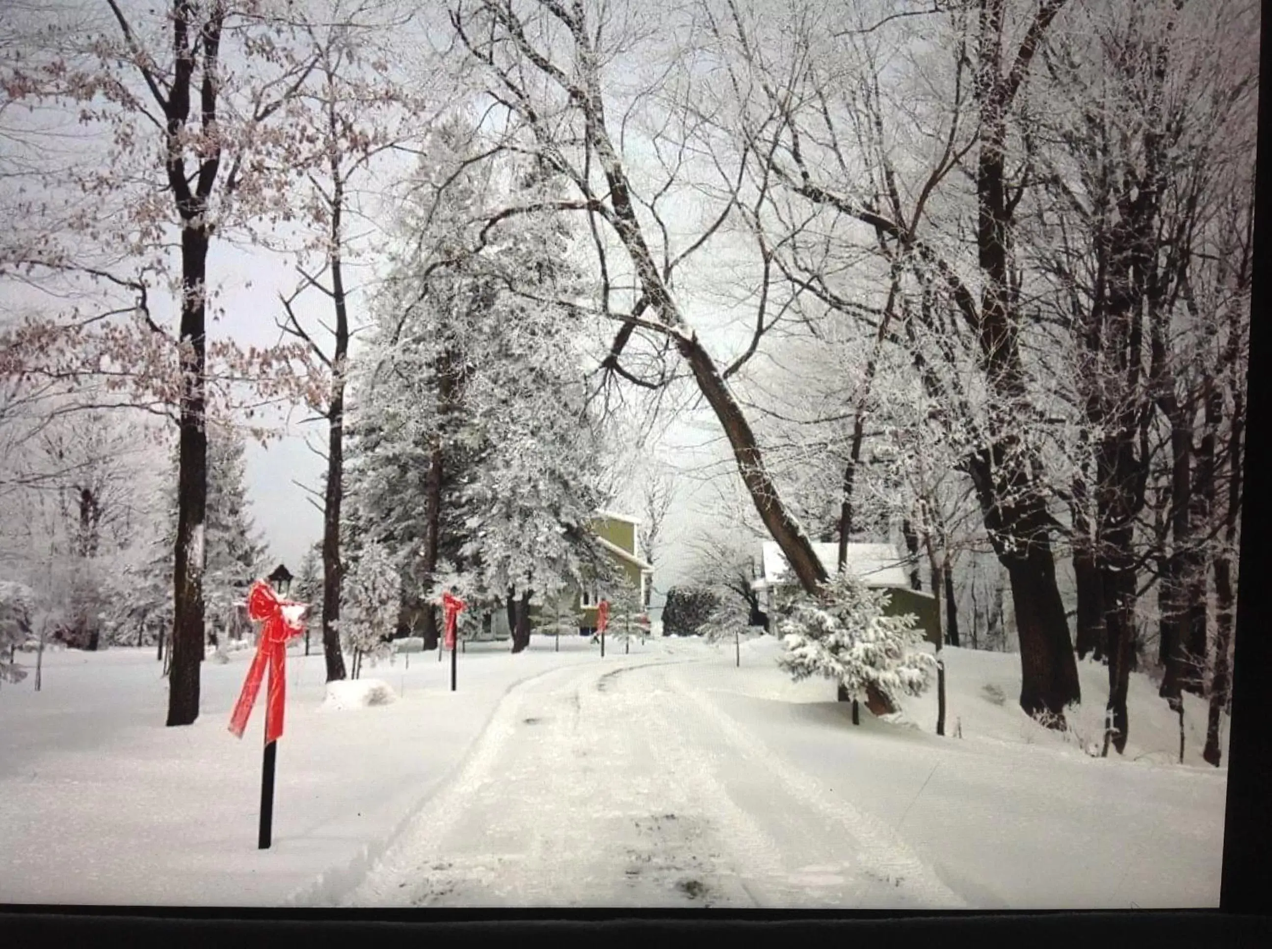 Winter in Les saisons du fleuve