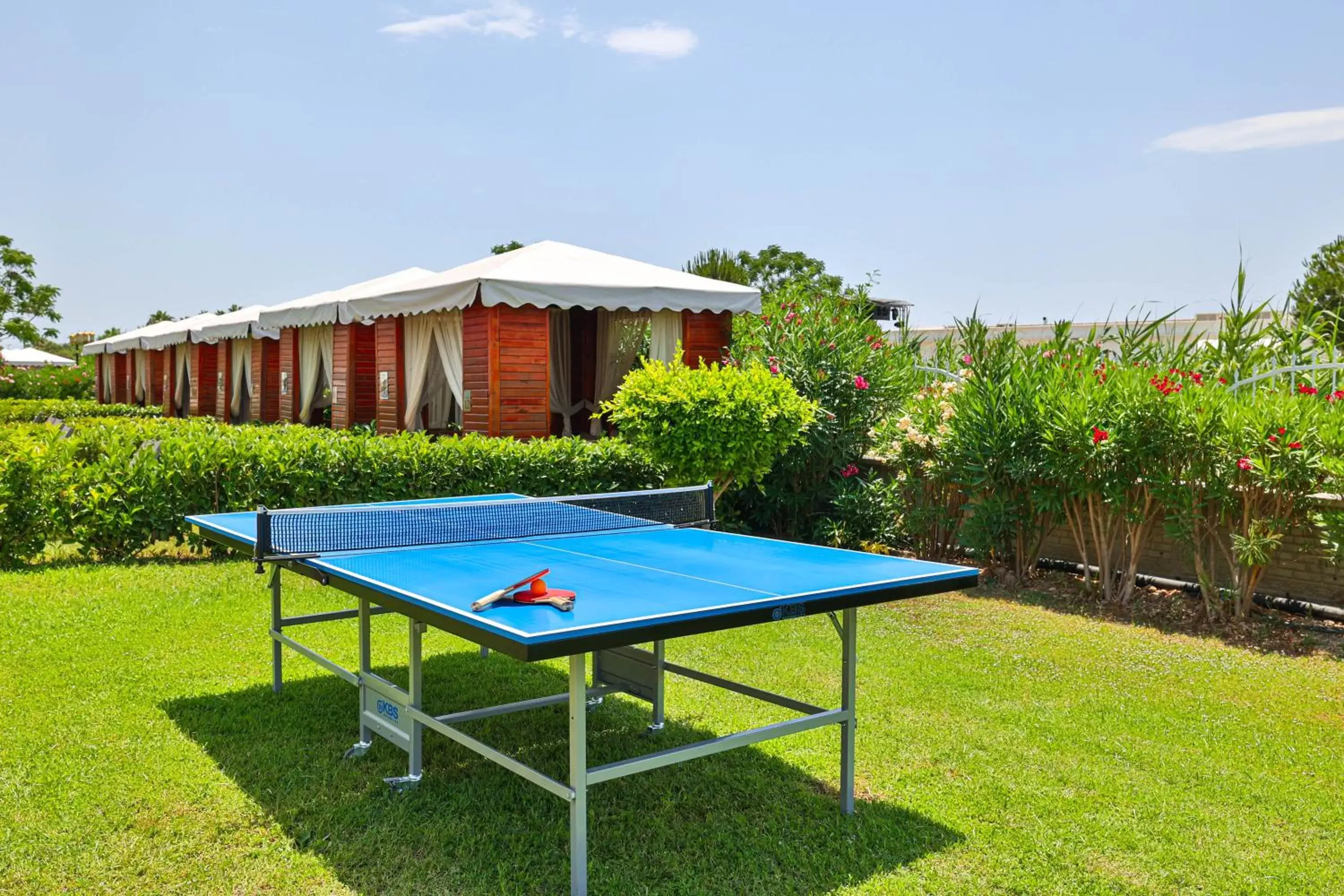Activities, Table Tennis in Crystal Palace Luxury Resort & Spa - Ultimate All Inclusive