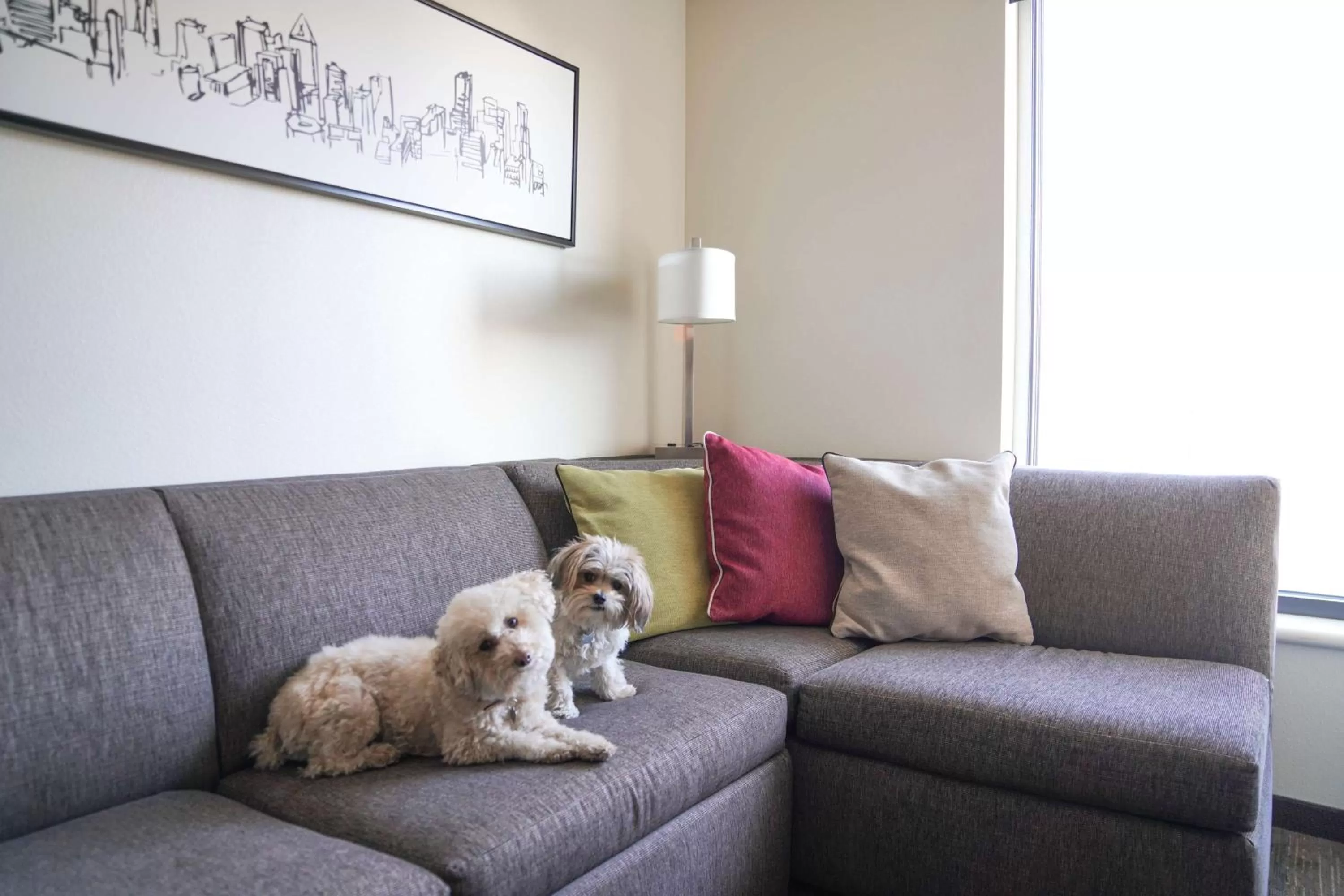 Photo of the whole room in Hyatt House Denver/Downtown