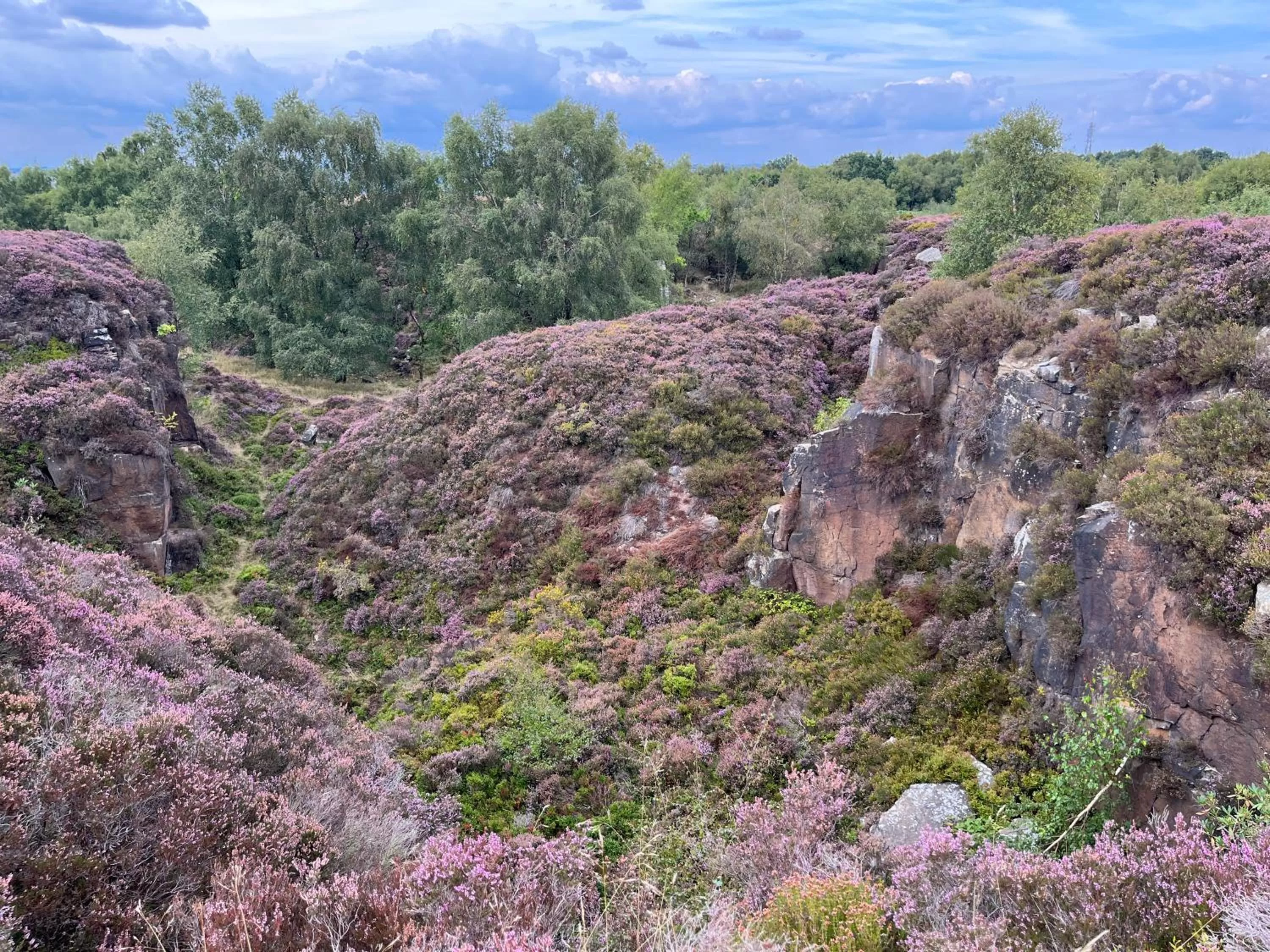 The Old Station House