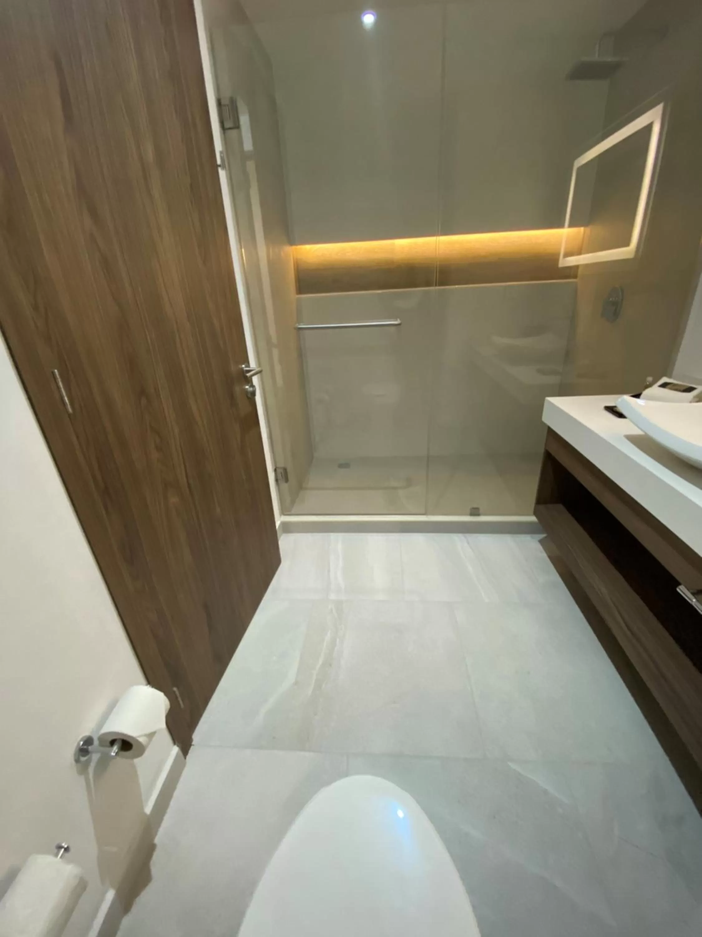 Bathroom in Wyndham Puebla Angelopolis