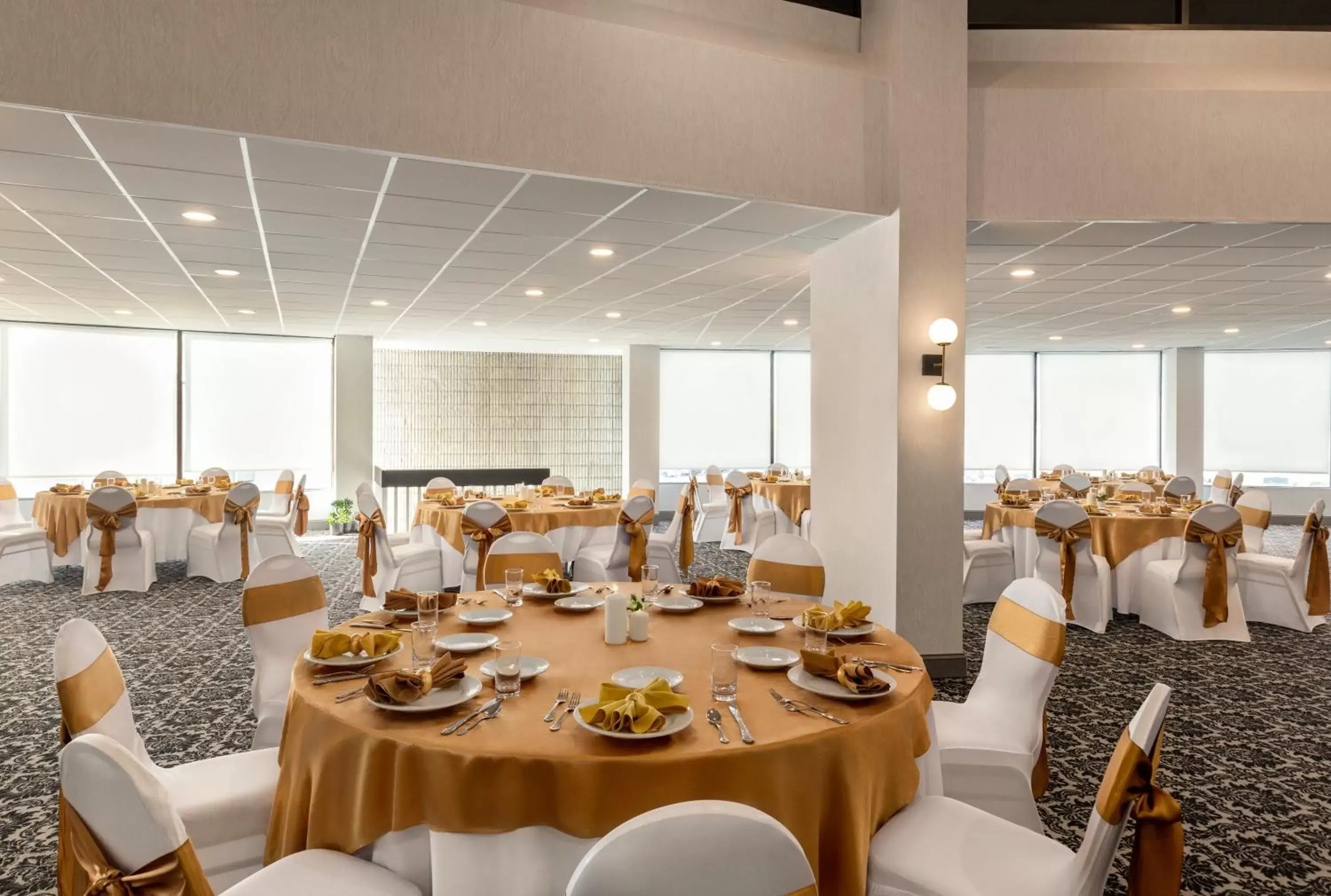 Banquet/Function facilities, Restaurant/Places to Eat in Holiday Inn Philadelphia Arpt-Stadium Area, an IHG Hotel