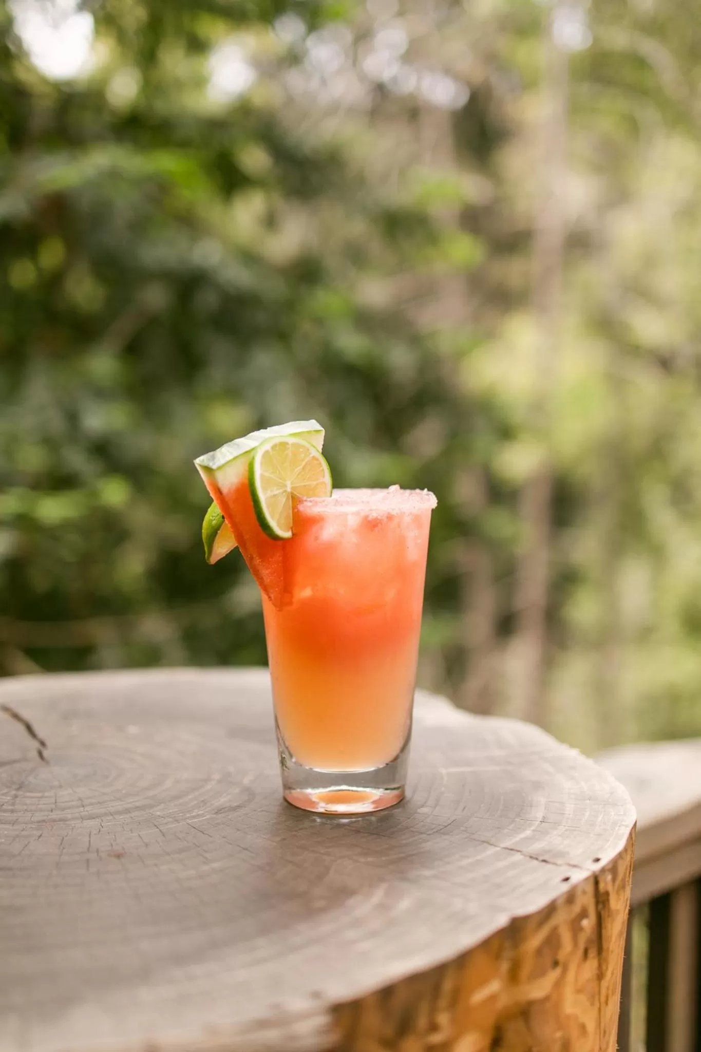 Lounge or bar in Fernwood Resort