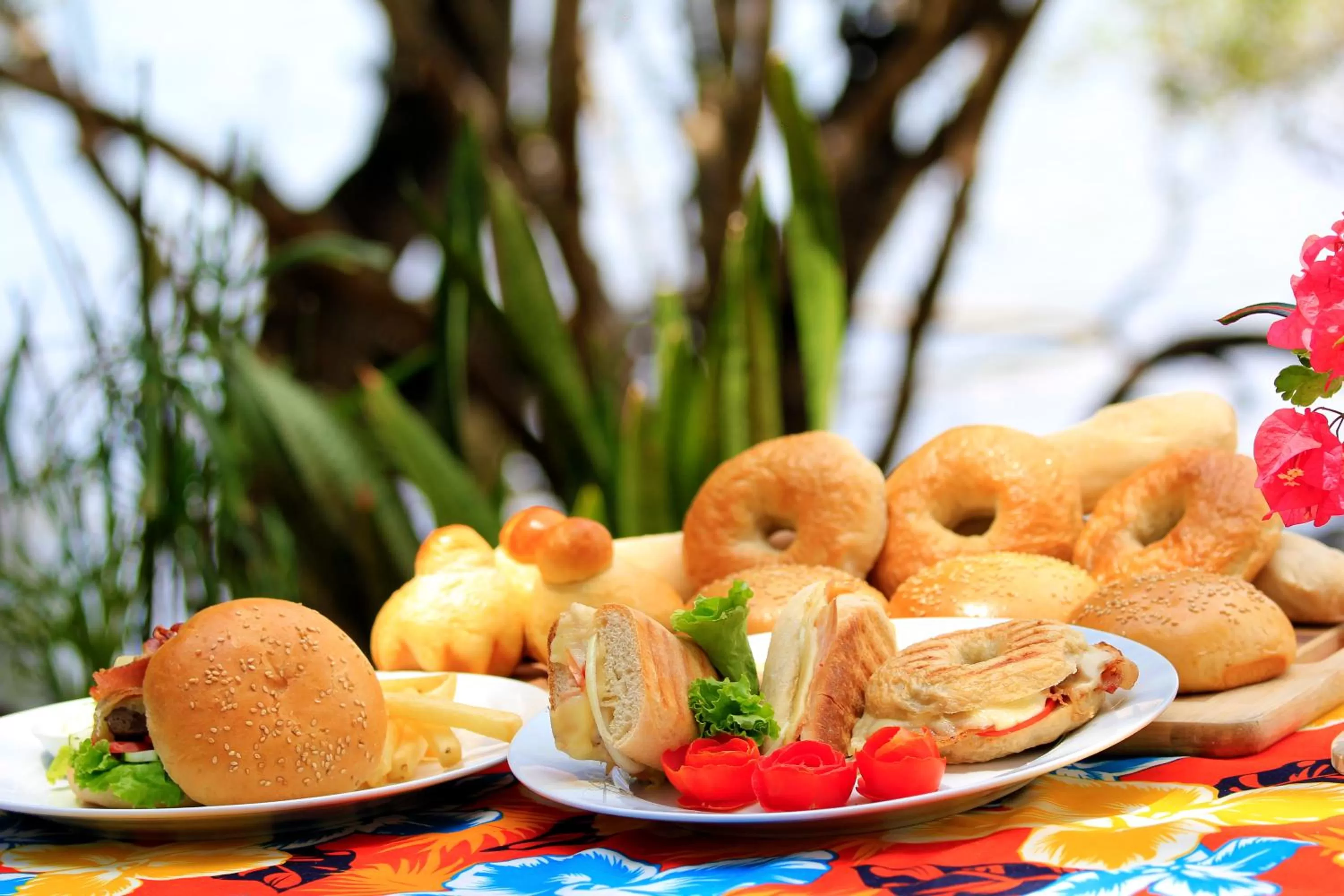 Discovery Island Resort