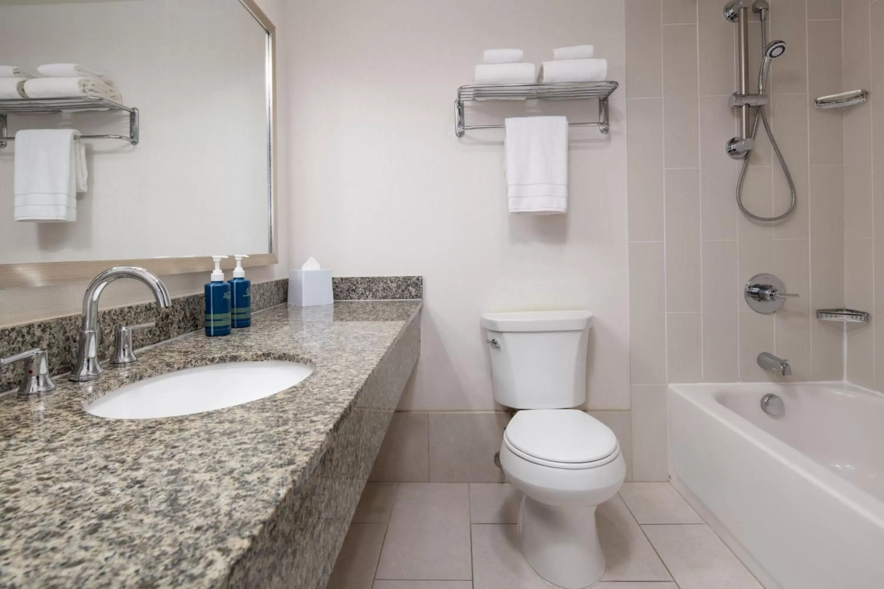 Bathroom in Four Points by Sheraton Bellingham Hotel & Conference Center