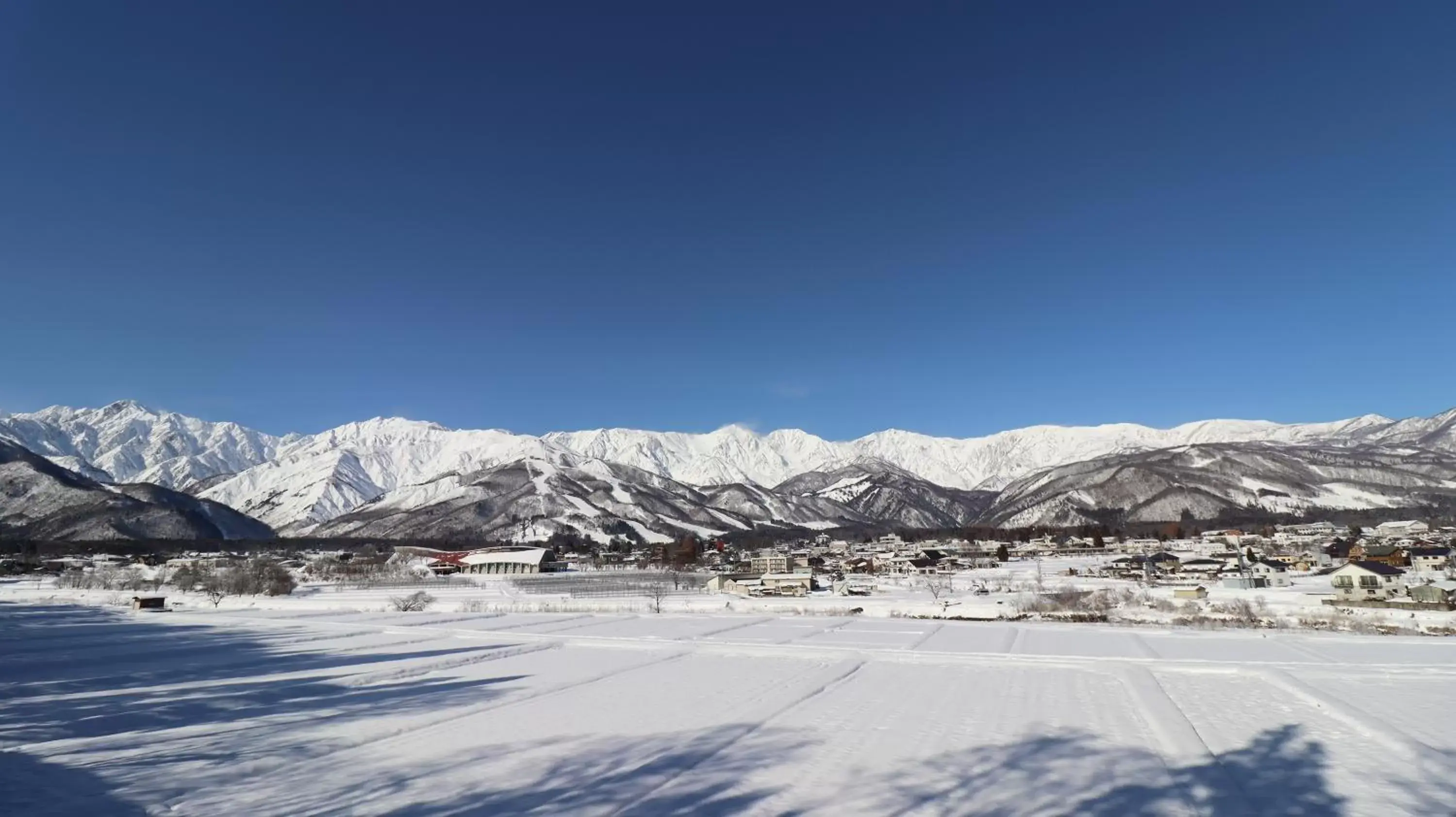 Natural landscape, Winter in Hotel Oak Forest