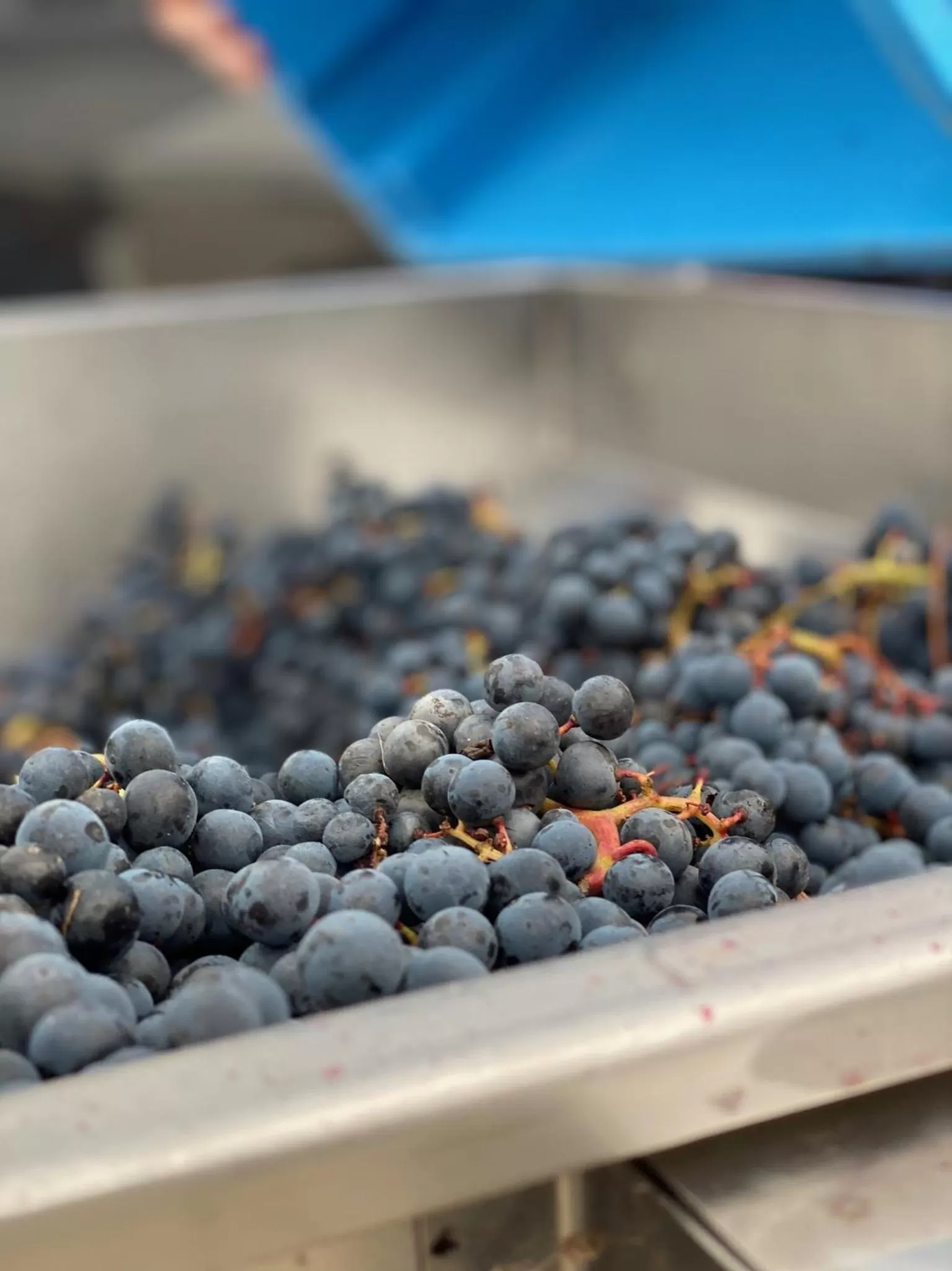 Other, Food in B&B Het Atelier