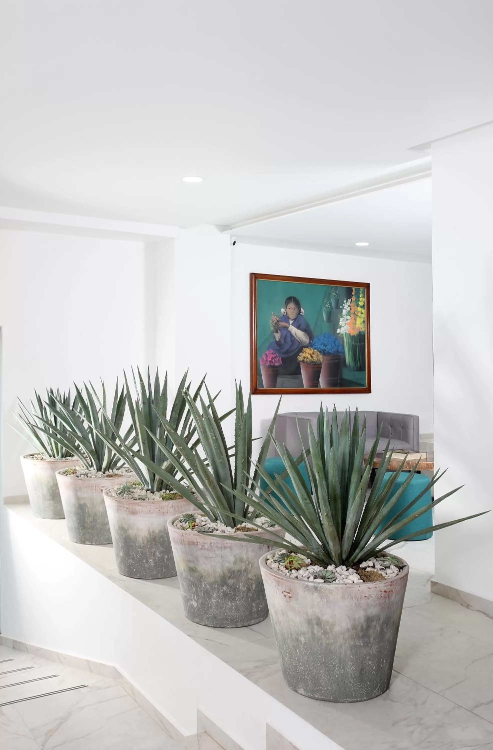 Lobby or reception in Hotel Círculo Condesa