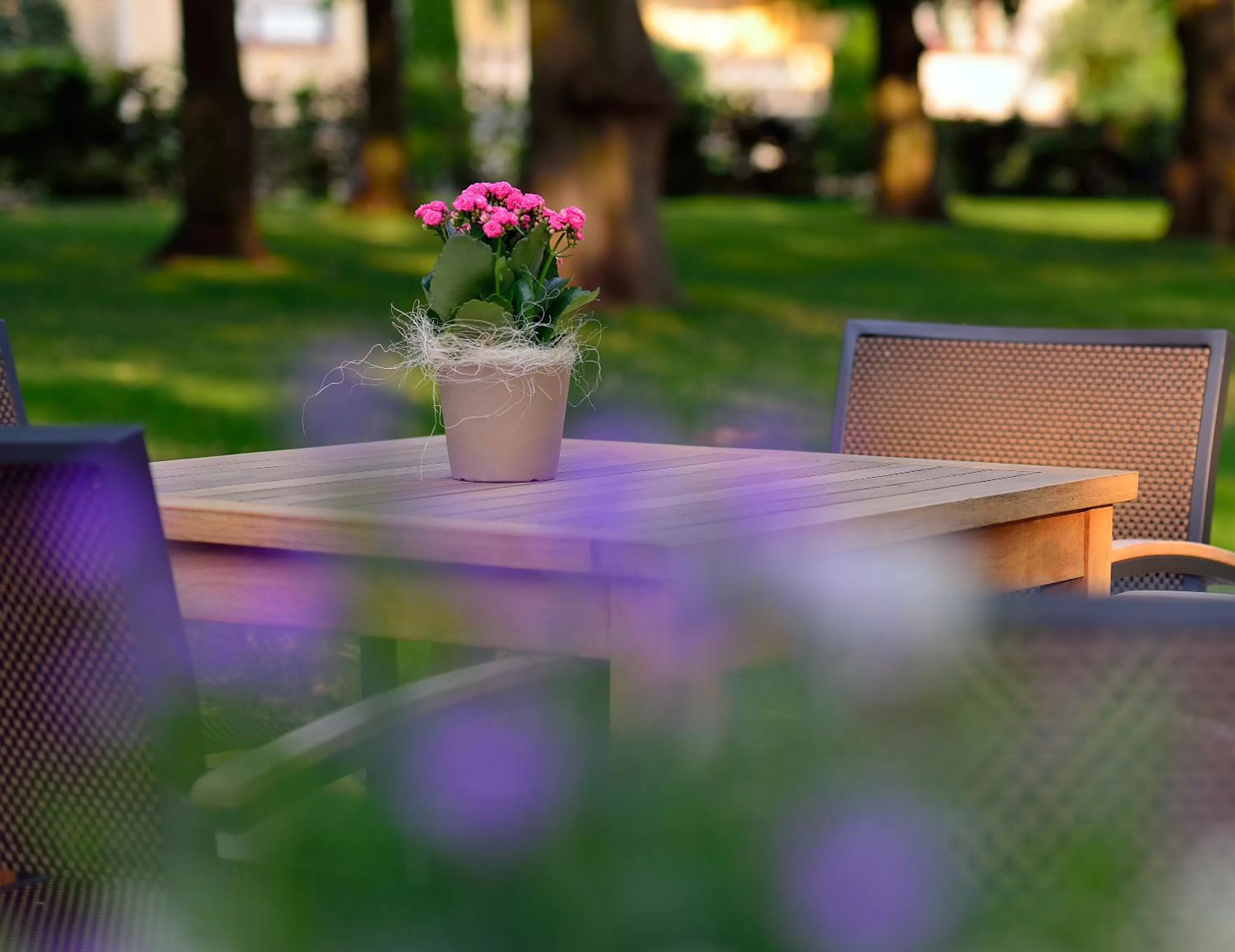 Facade/entrance in ARTHOTEL Kiebitzberg