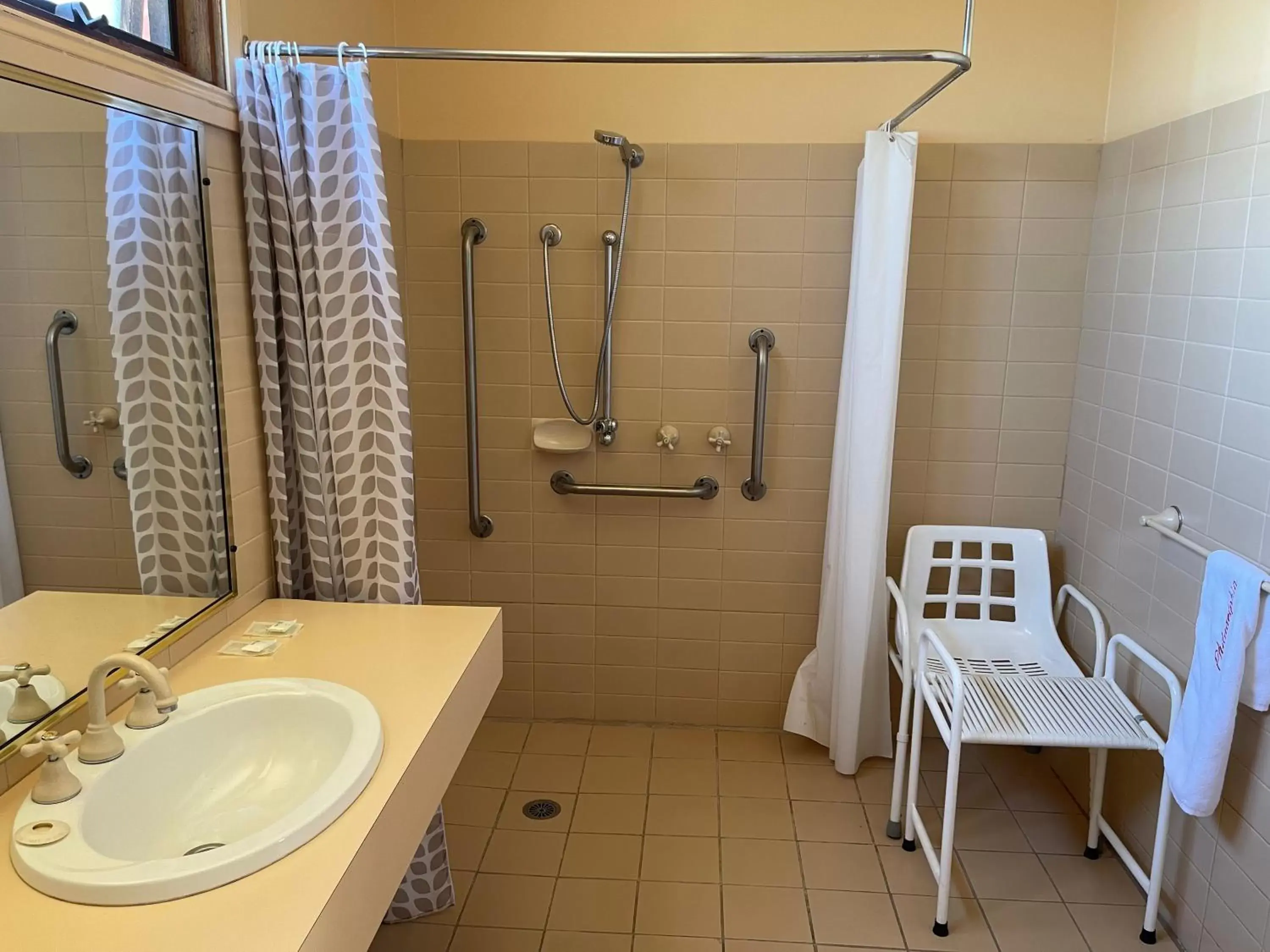 Facility for disabled guests, Bathroom in Philadelphia Motor Inn