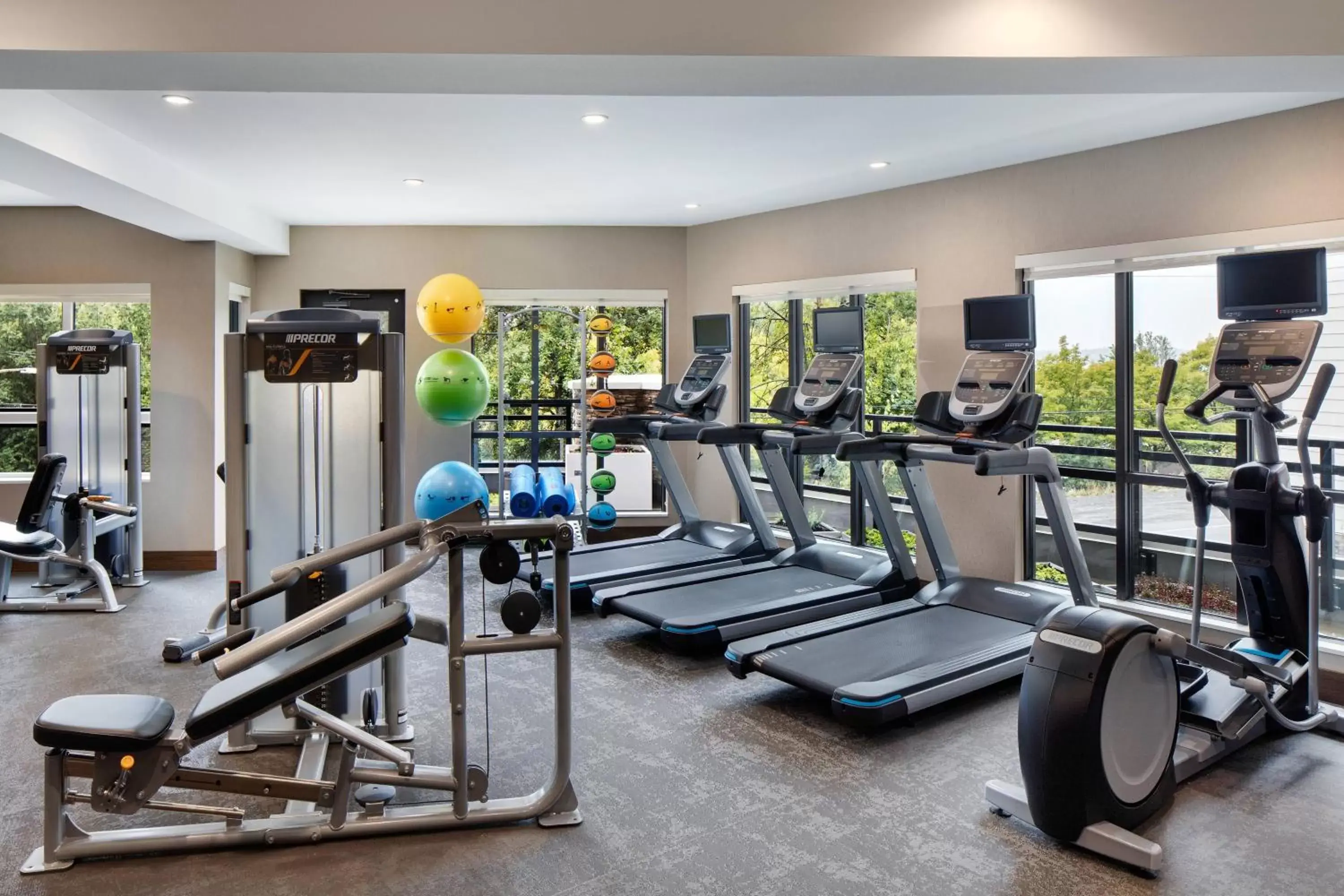 Fitness centre/facilities, Fitness Center/Facilities in Residence Inn by Marriott Seattle South/Renton
