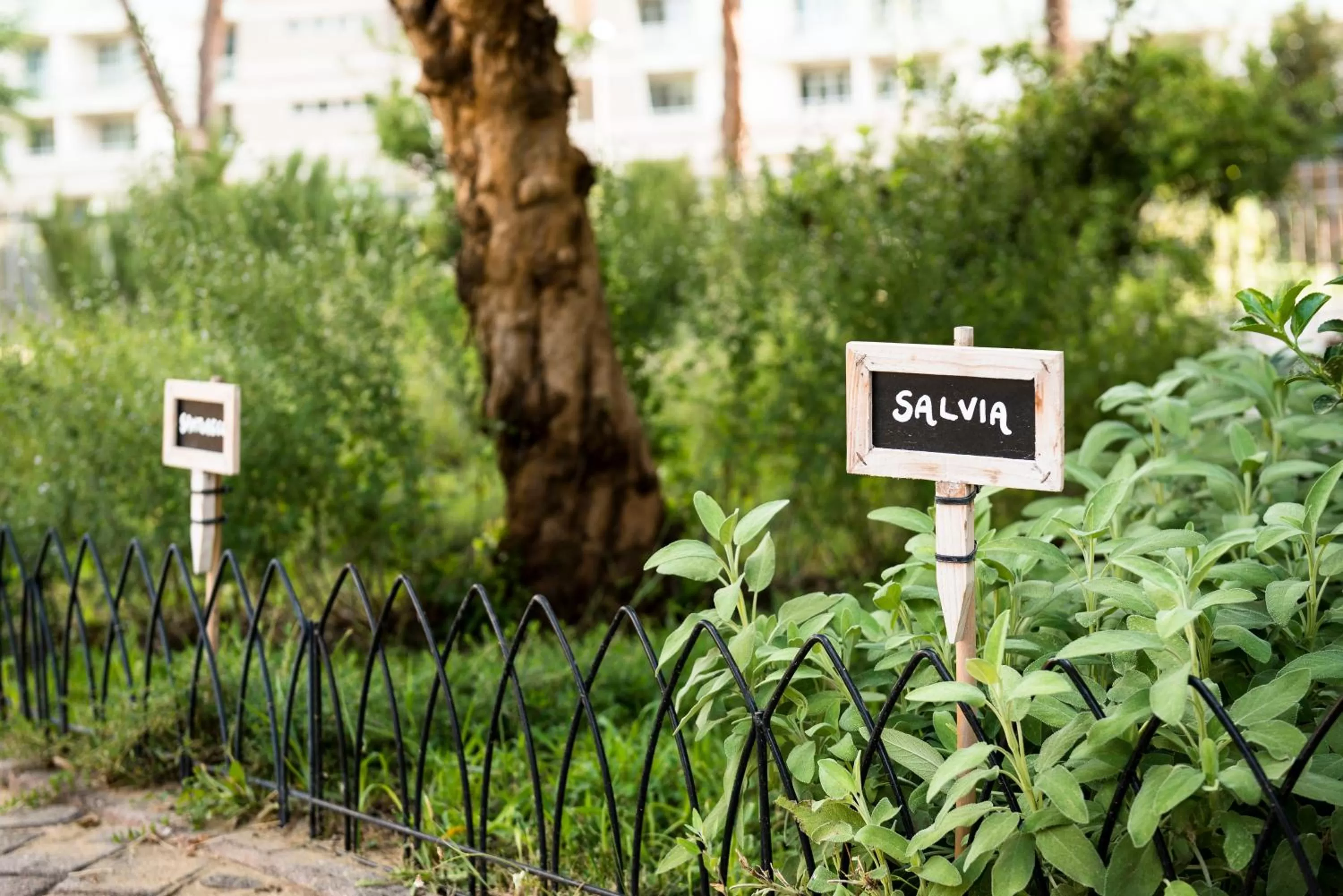 Property building in Occidental Aurelia