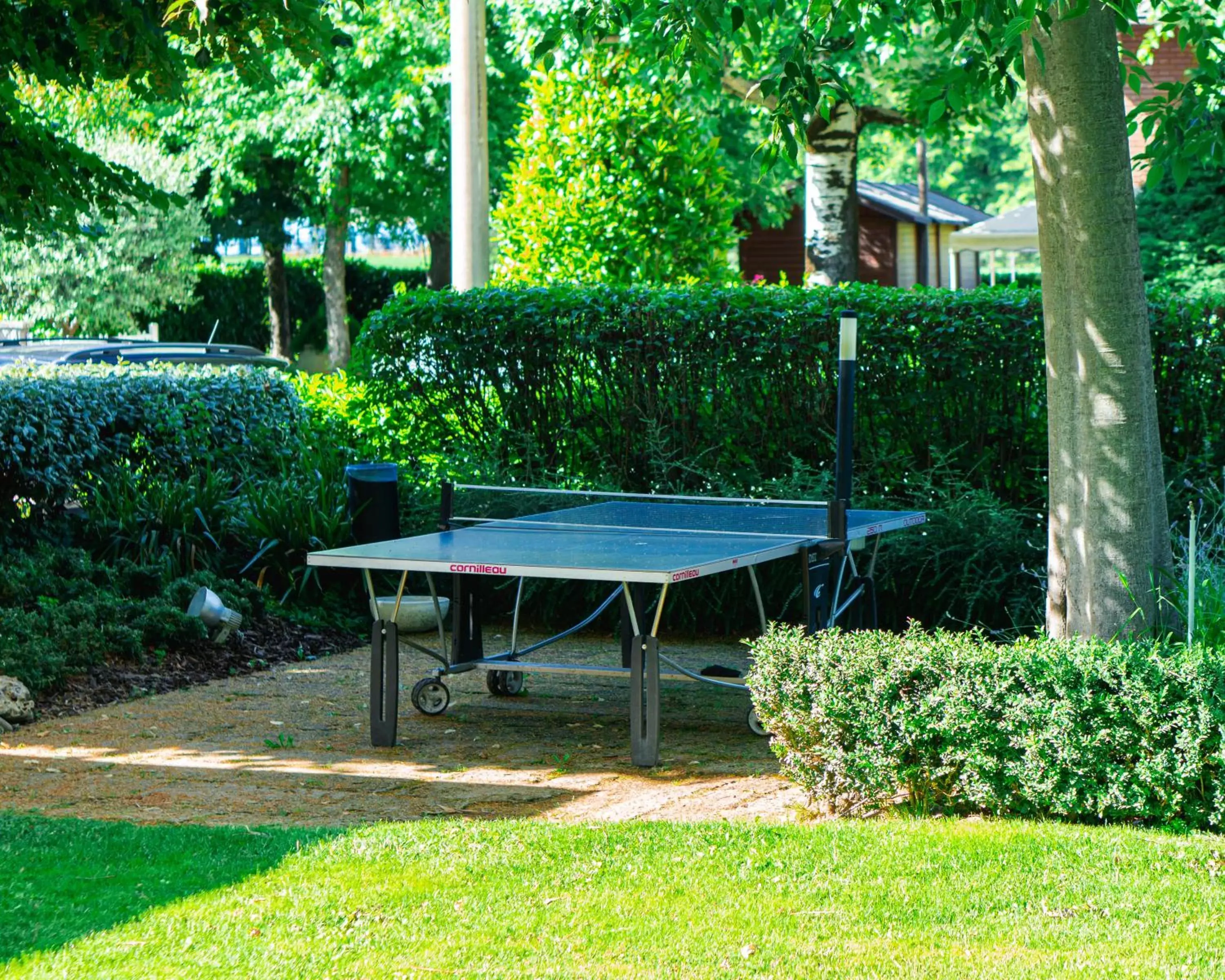 Table Tennis in Hotel Globo