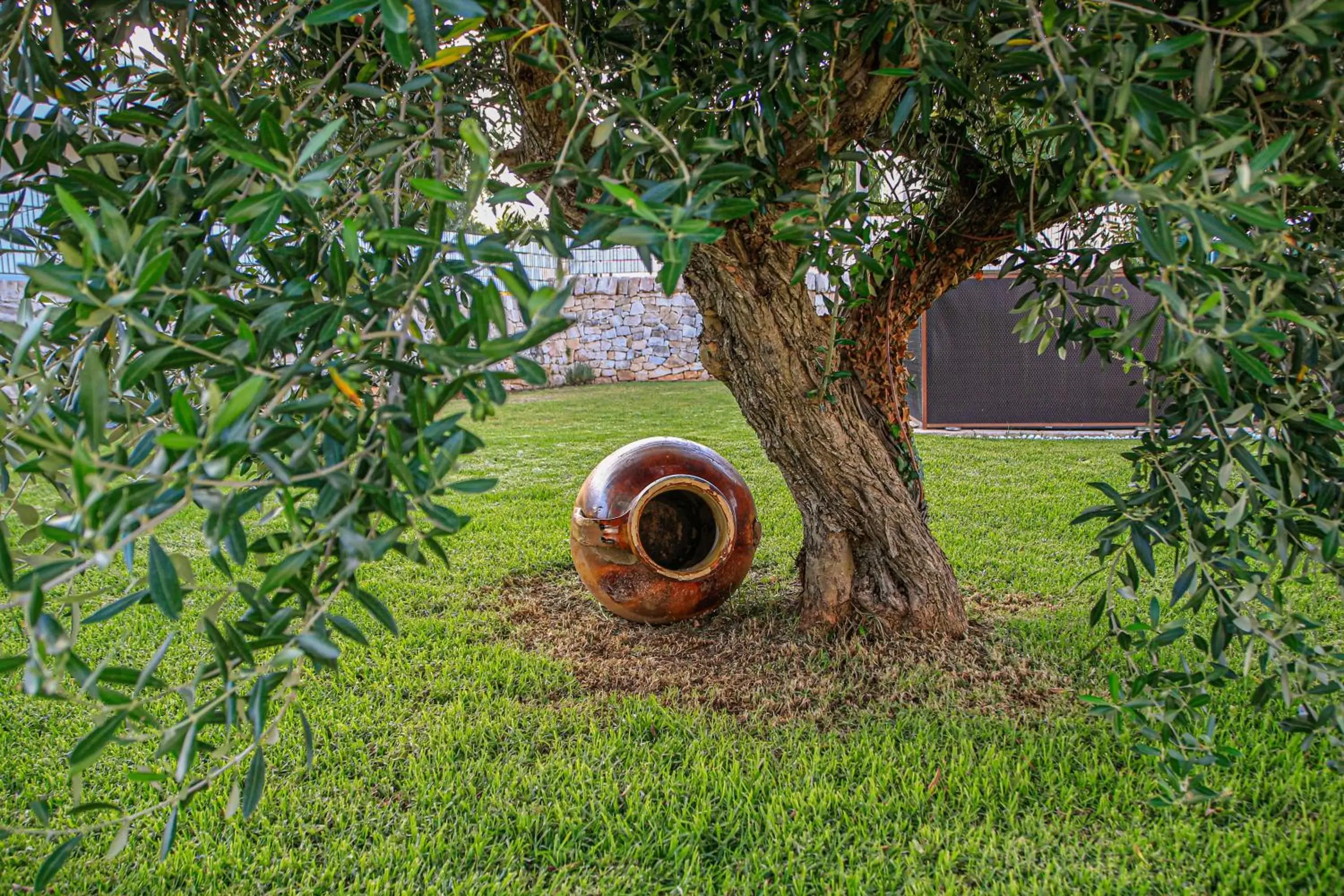 Garden, Other Animals in B&B Trulli Donna Isabella