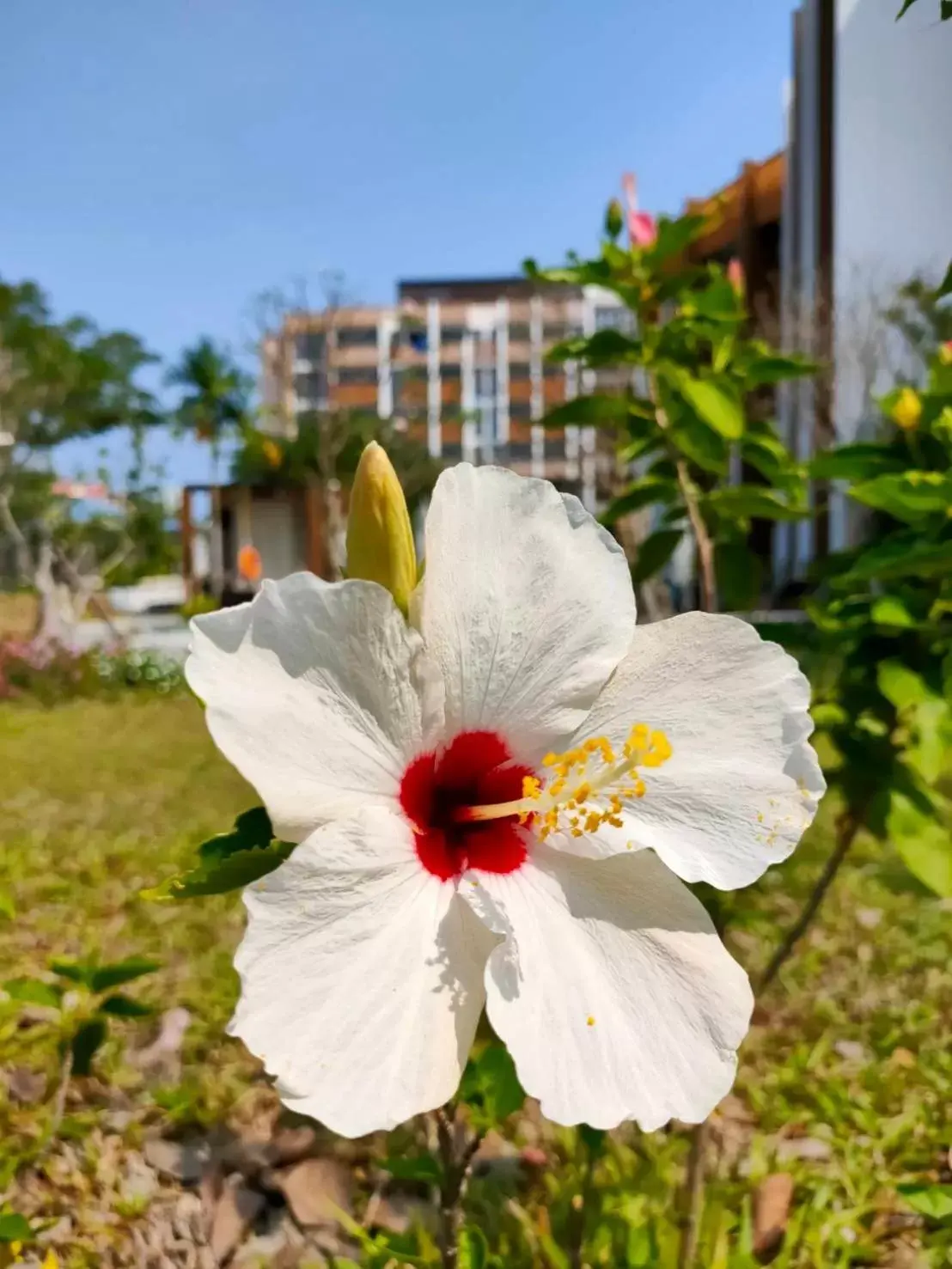 Day, Garden in iSanook Resort & Suites Hua Hin