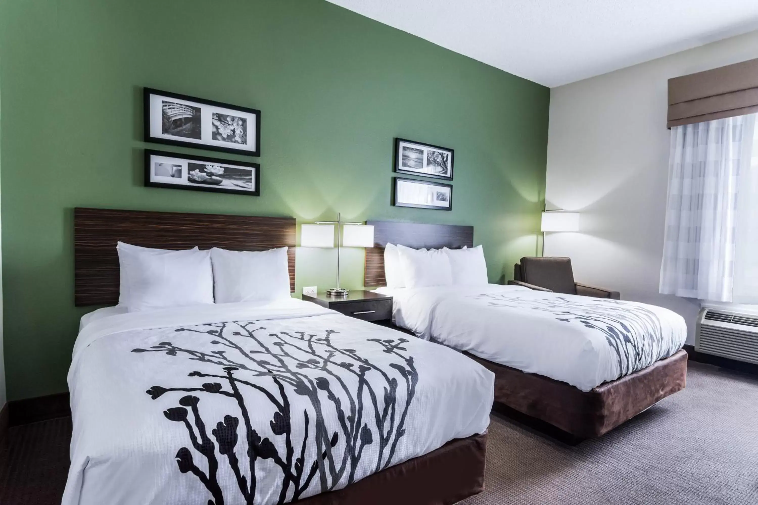 Double Room with Two Double Beds - Non-Smoking in Sleep Inn & Suites Smithfield near I-95