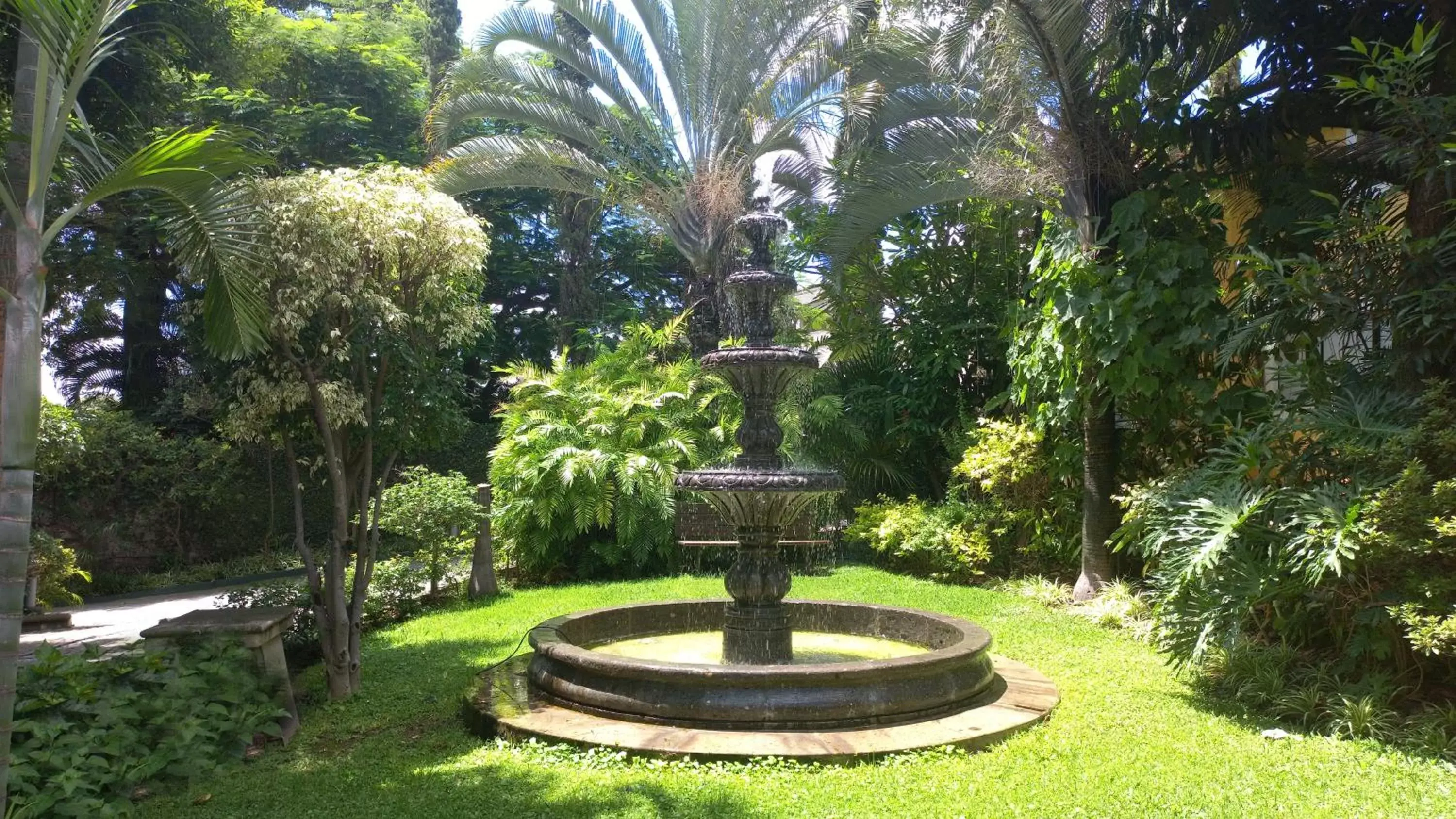 Other, Garden in Holiday Inn Cuernavaca, an IHG Hotel