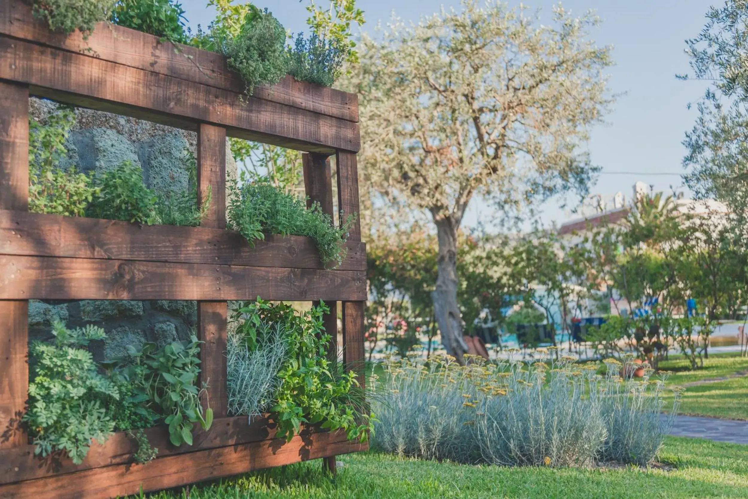 Garden in Hotel Ideal