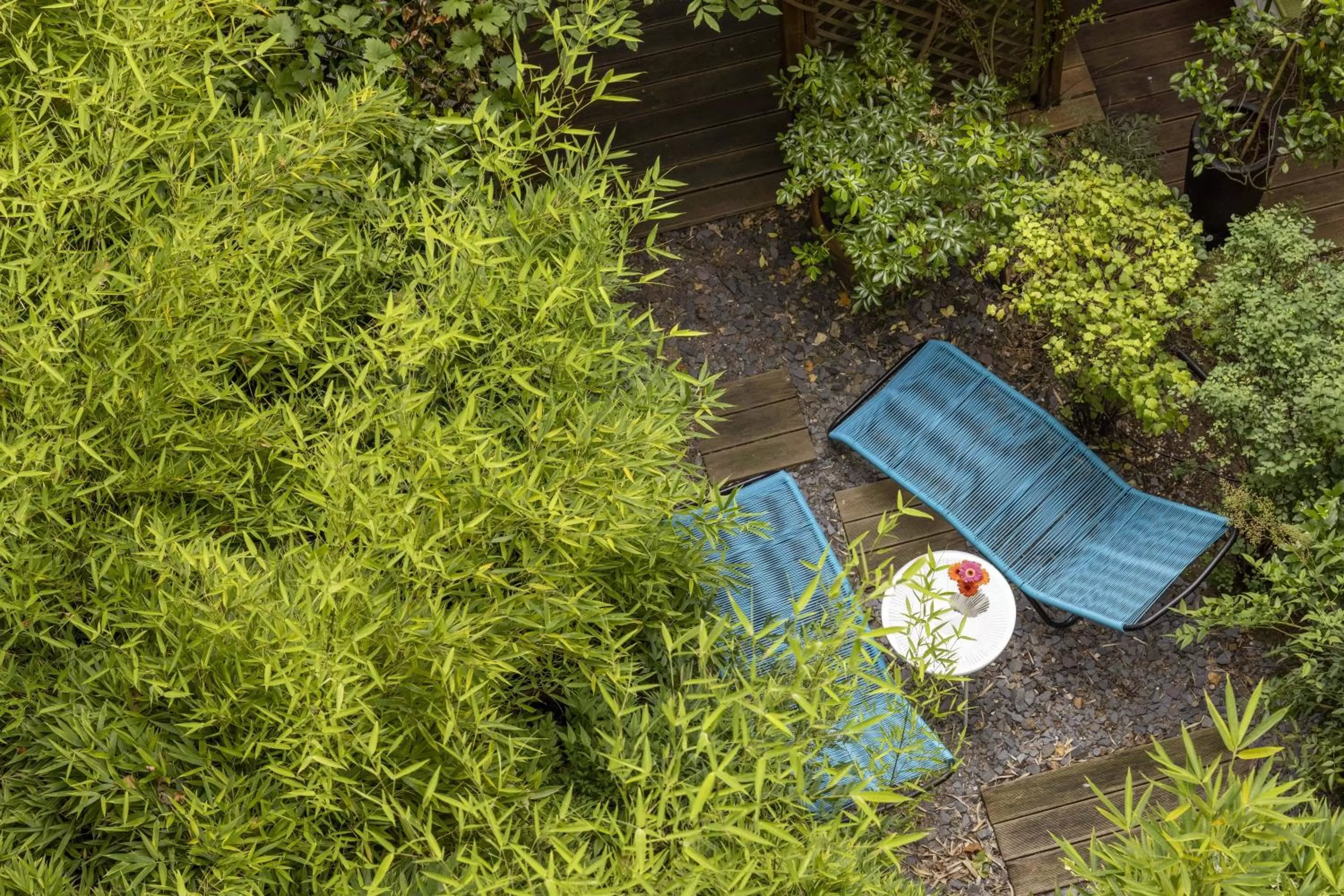Garden view in Hotel Paris Louis Blanc