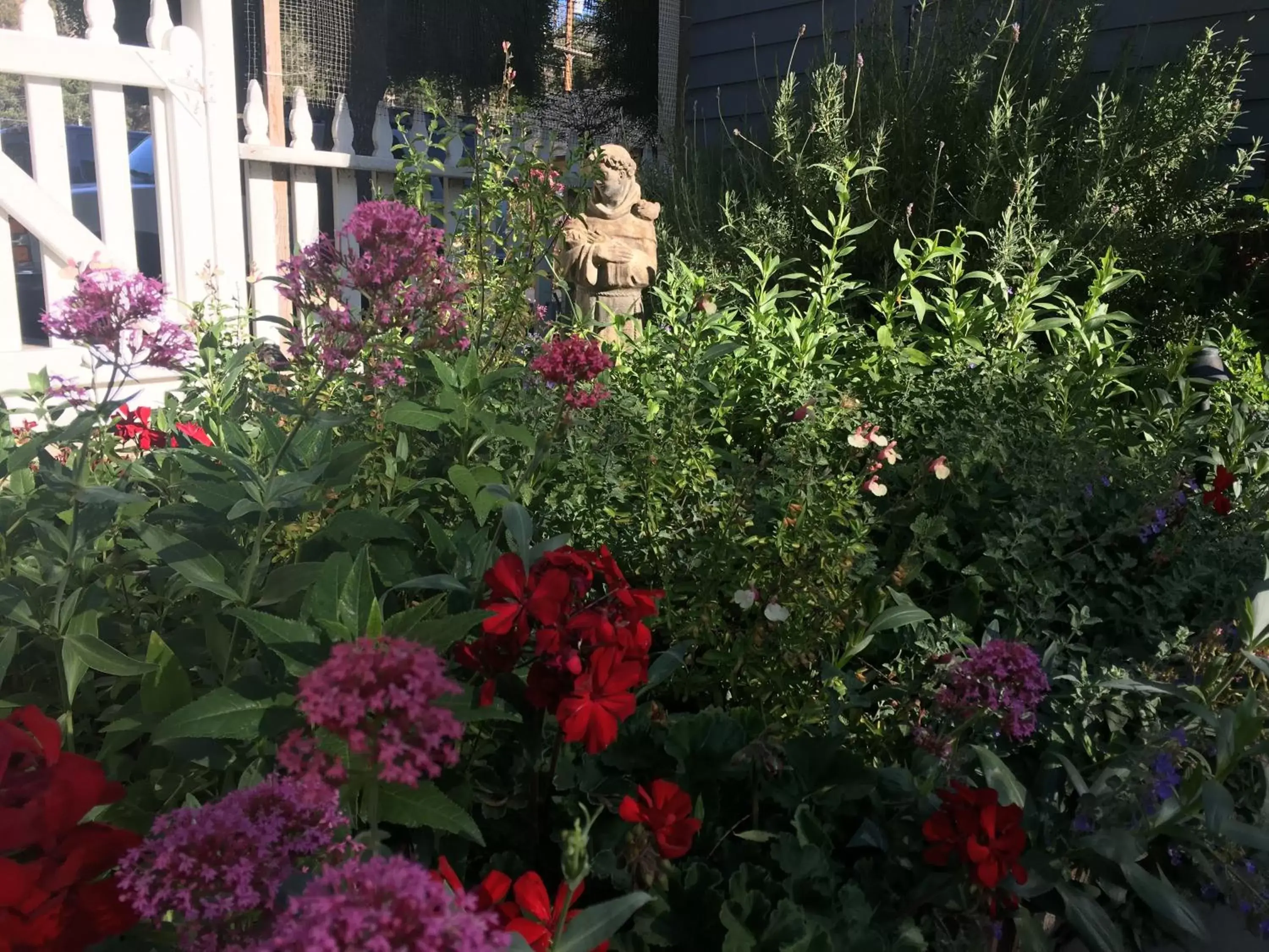 Garden view, Garden in Olallieberry Inn Bed and Breakfast