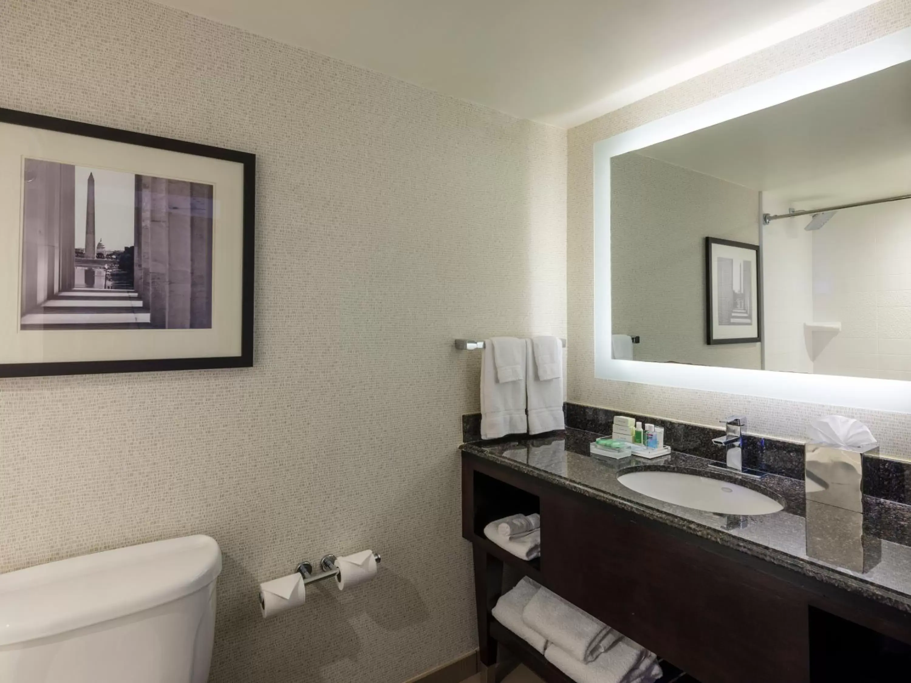 Bathroom in Holiday Inn Washington Capitol-National Mall, an IHG Hotel