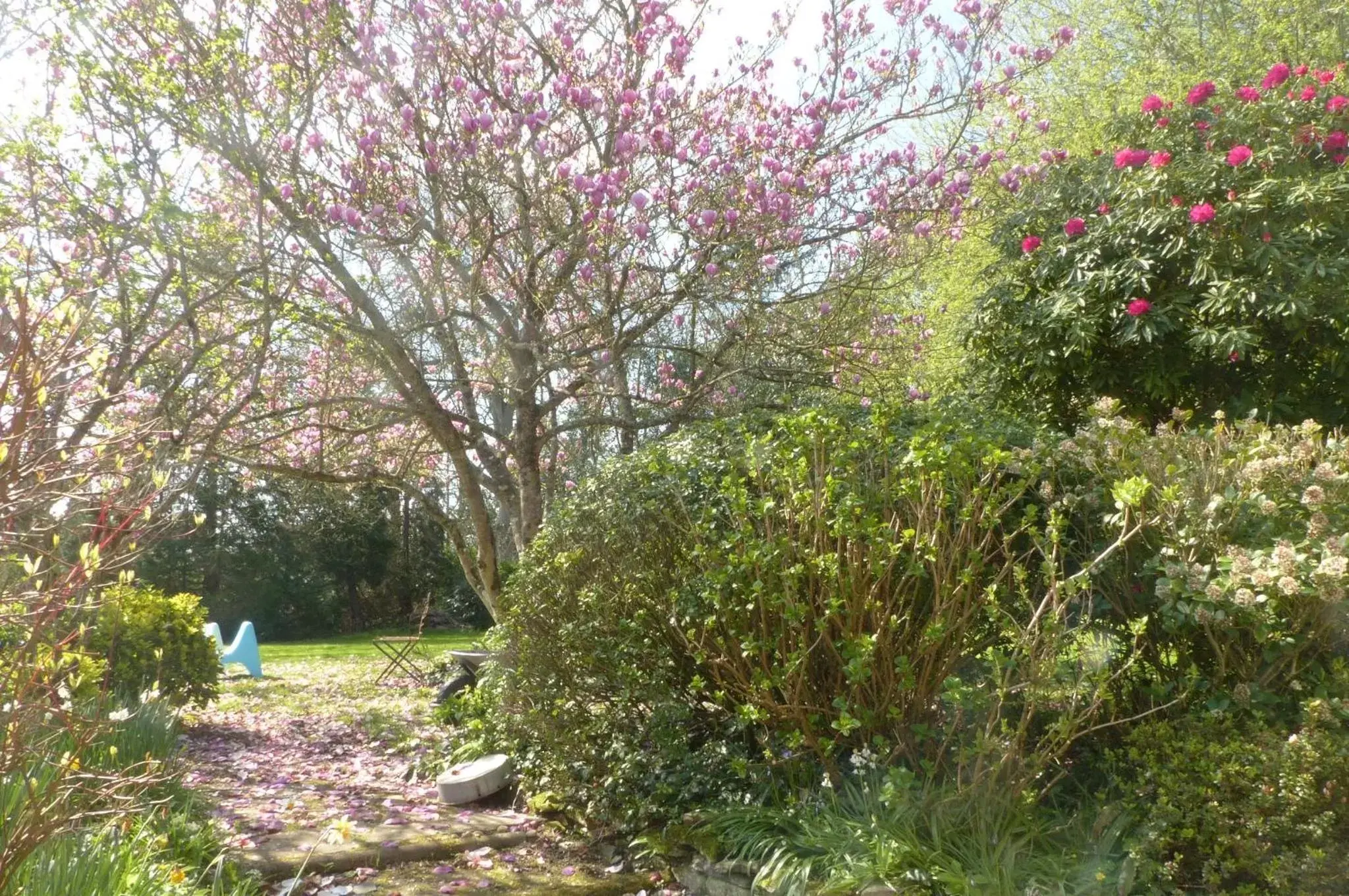 Garden in Maison d'hôtes KerCalow, Chambres d'hôtes