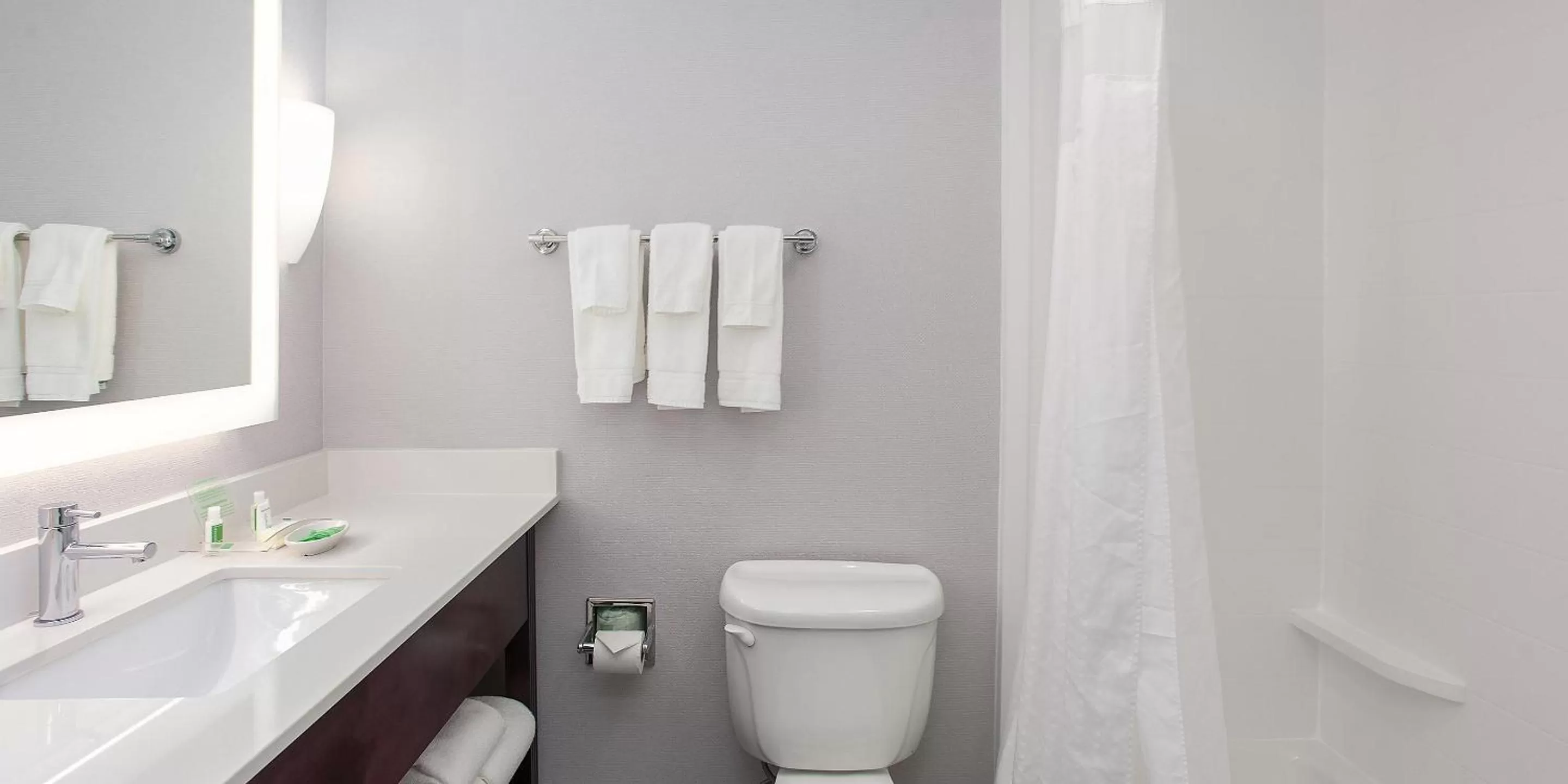 Bathroom in Holiday Inn Hotel & Suites Tallahassee Conference Center North by IHG