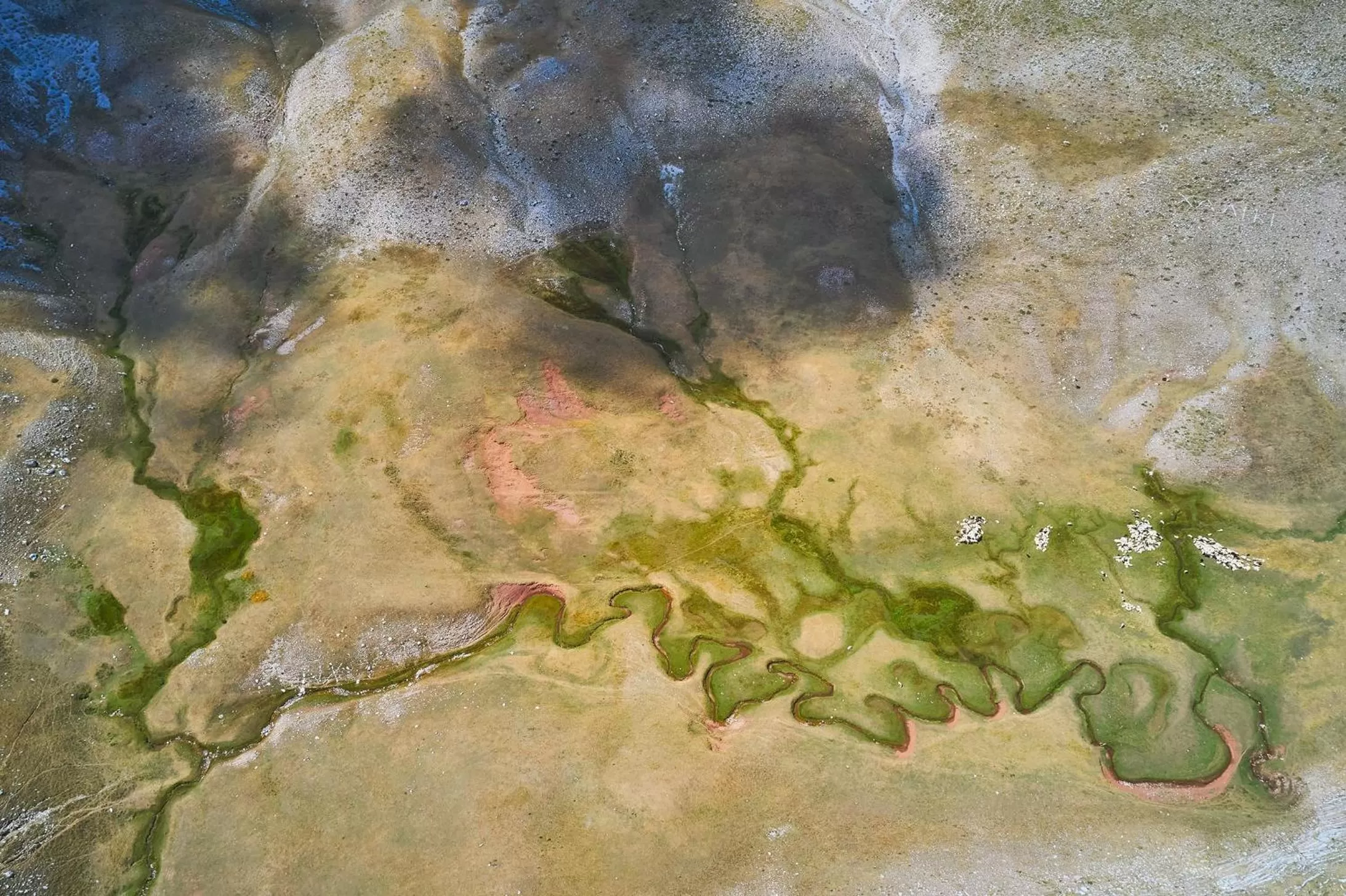 Natural landscape in Grand Forest Metsovo - Leading Hotels of the World