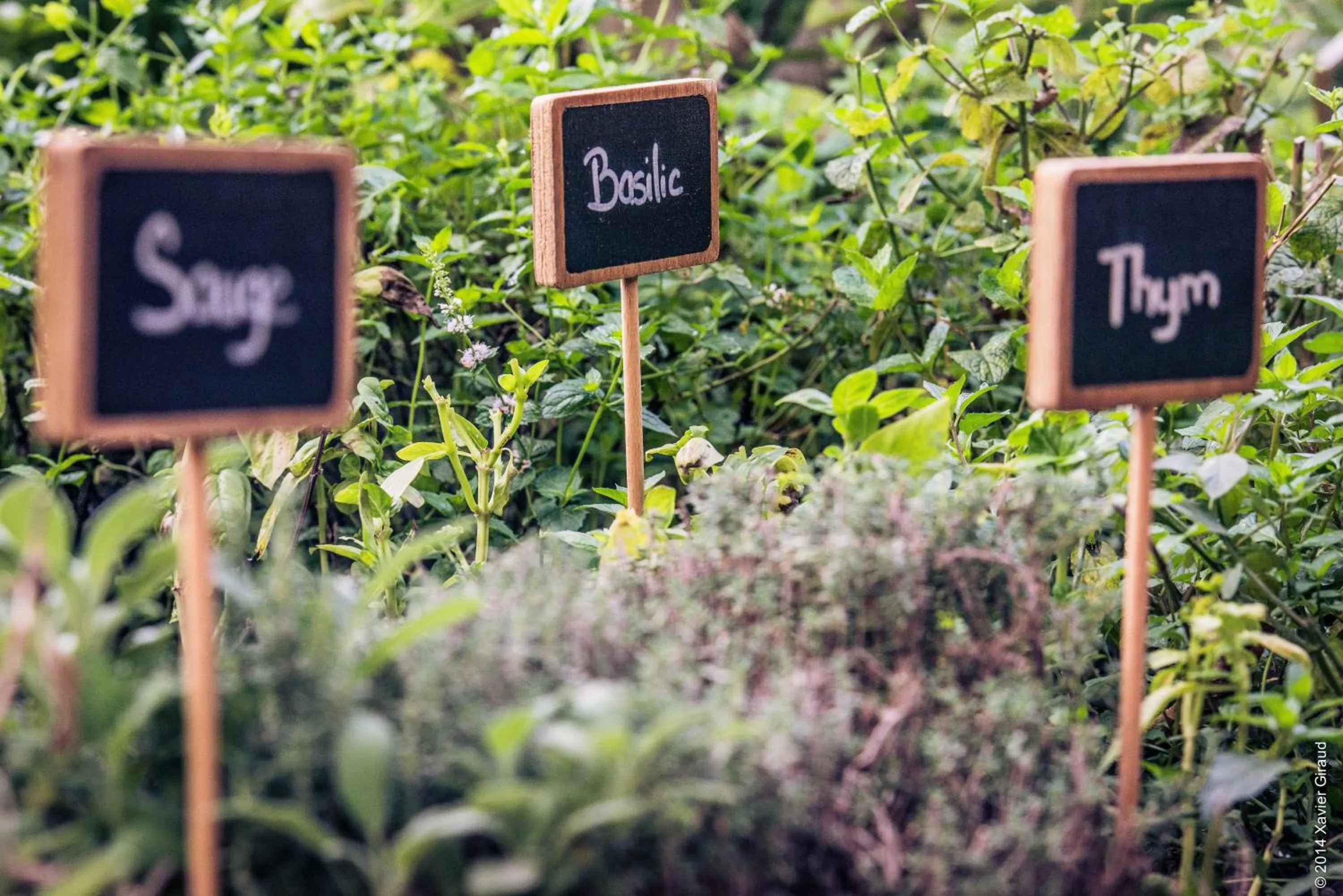 Garden in Hotel****Spa & Restaurant Cantemerle