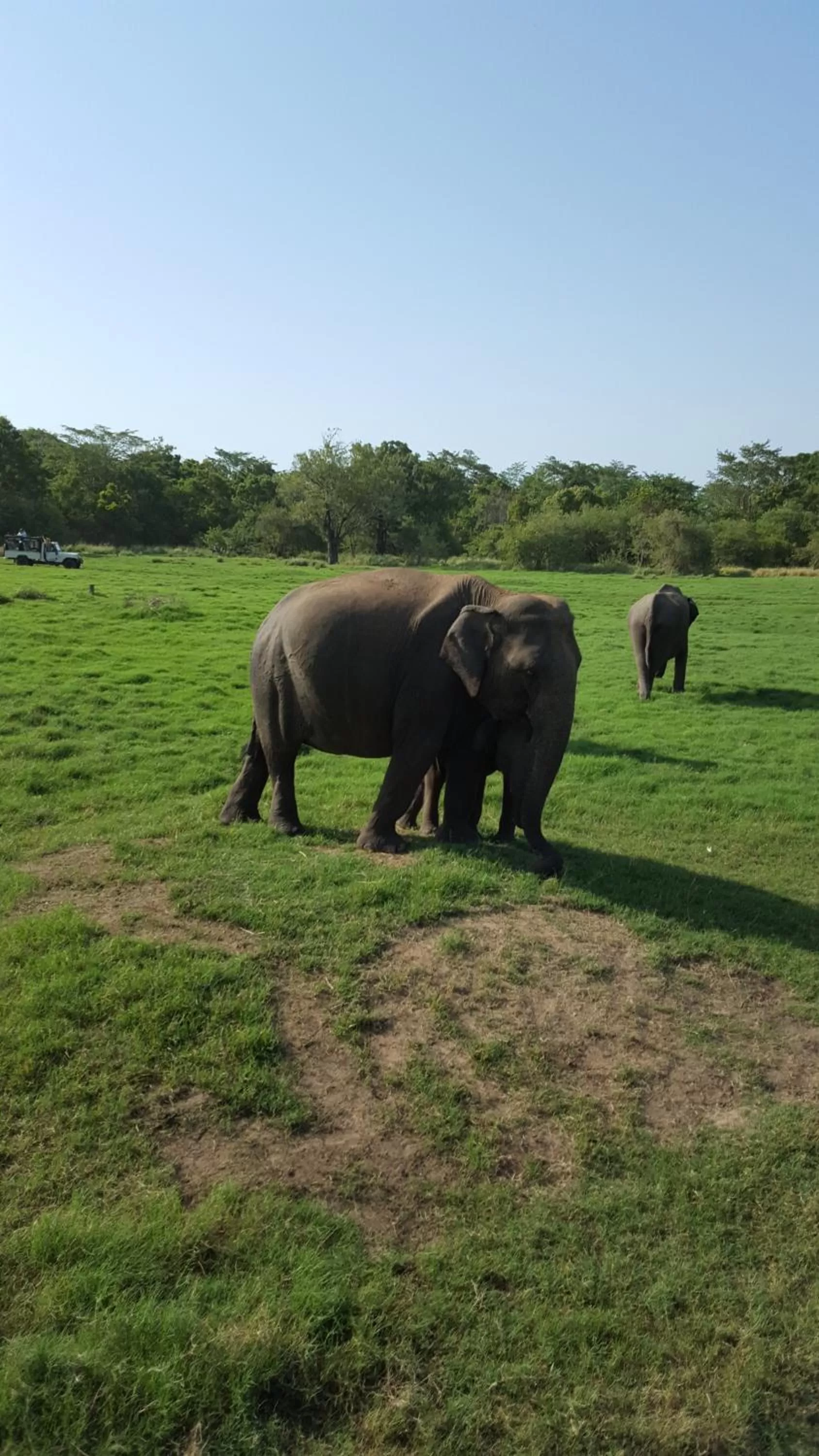 Activities in Little Paradise Tourist Guest House and Holiday Home