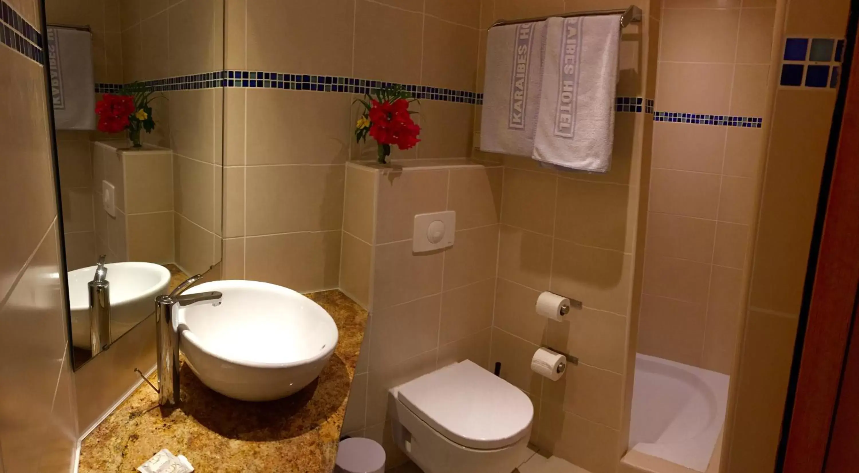 Shower, Bathroom in Karaibes Hotel