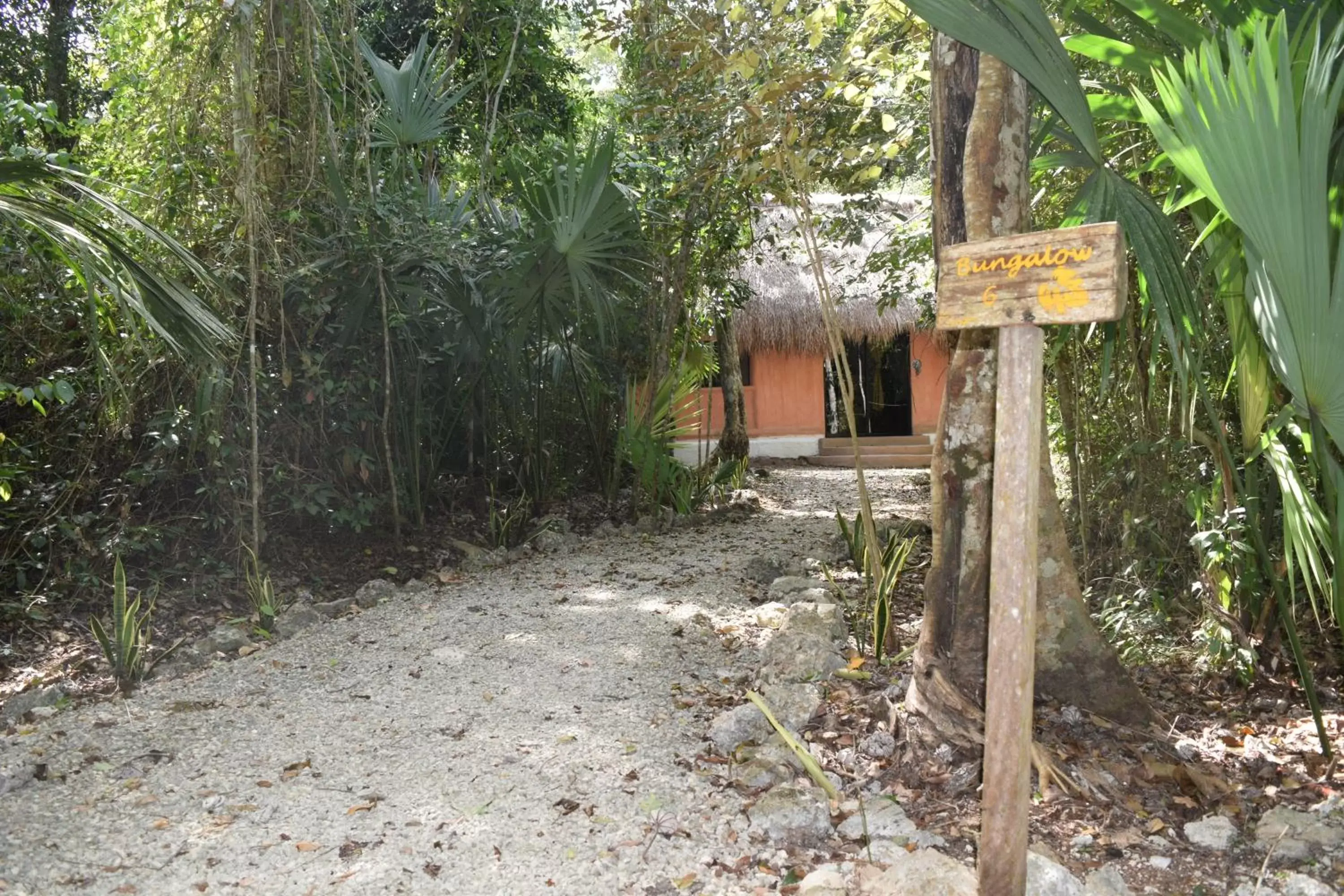 Property Building in Jolie Jungle Eco Hotel