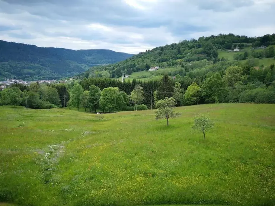 chambre d'hôtes nos racines (chez Muriel et Philippe)