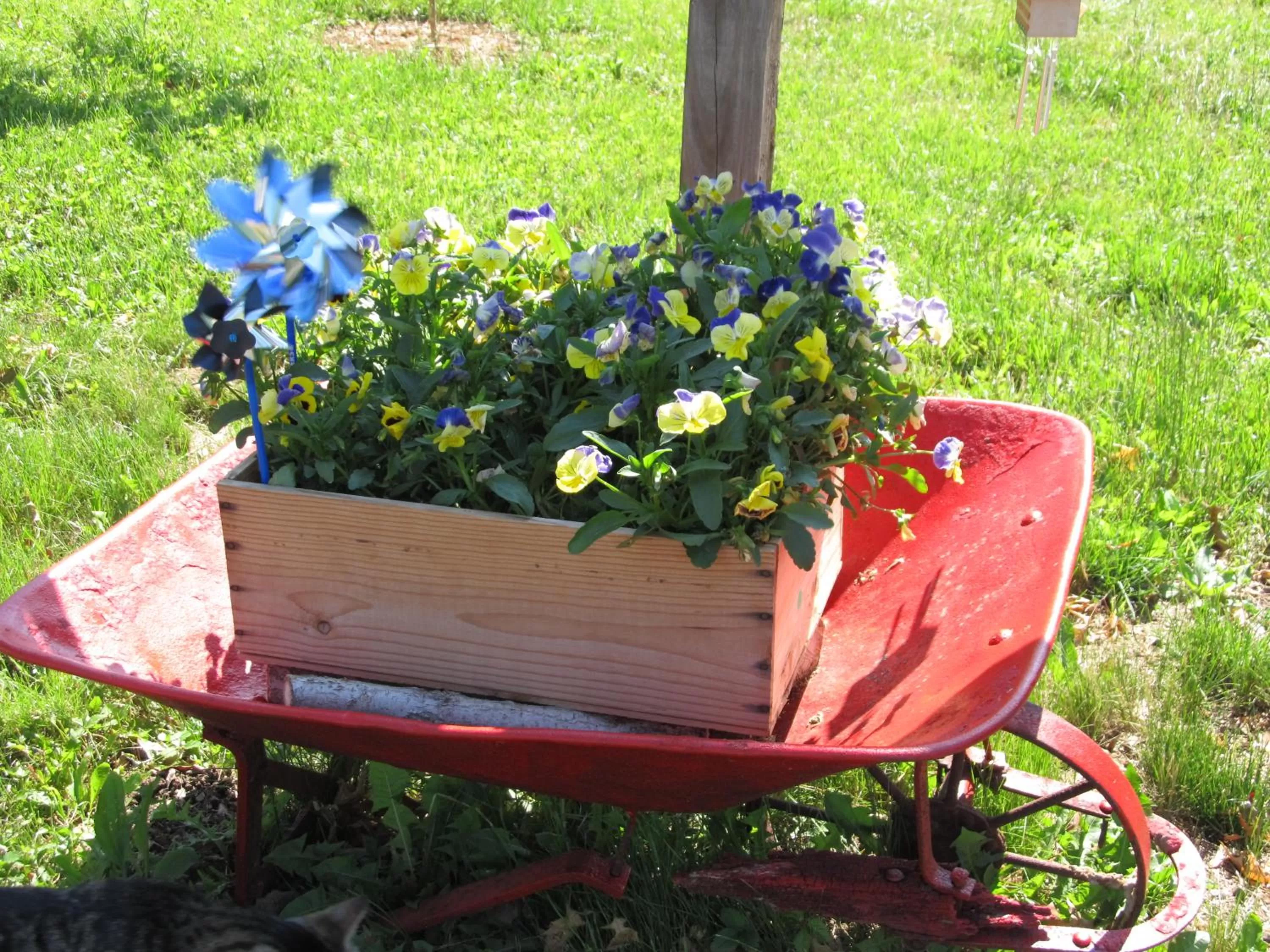 Other, Garden in Hancock Motel