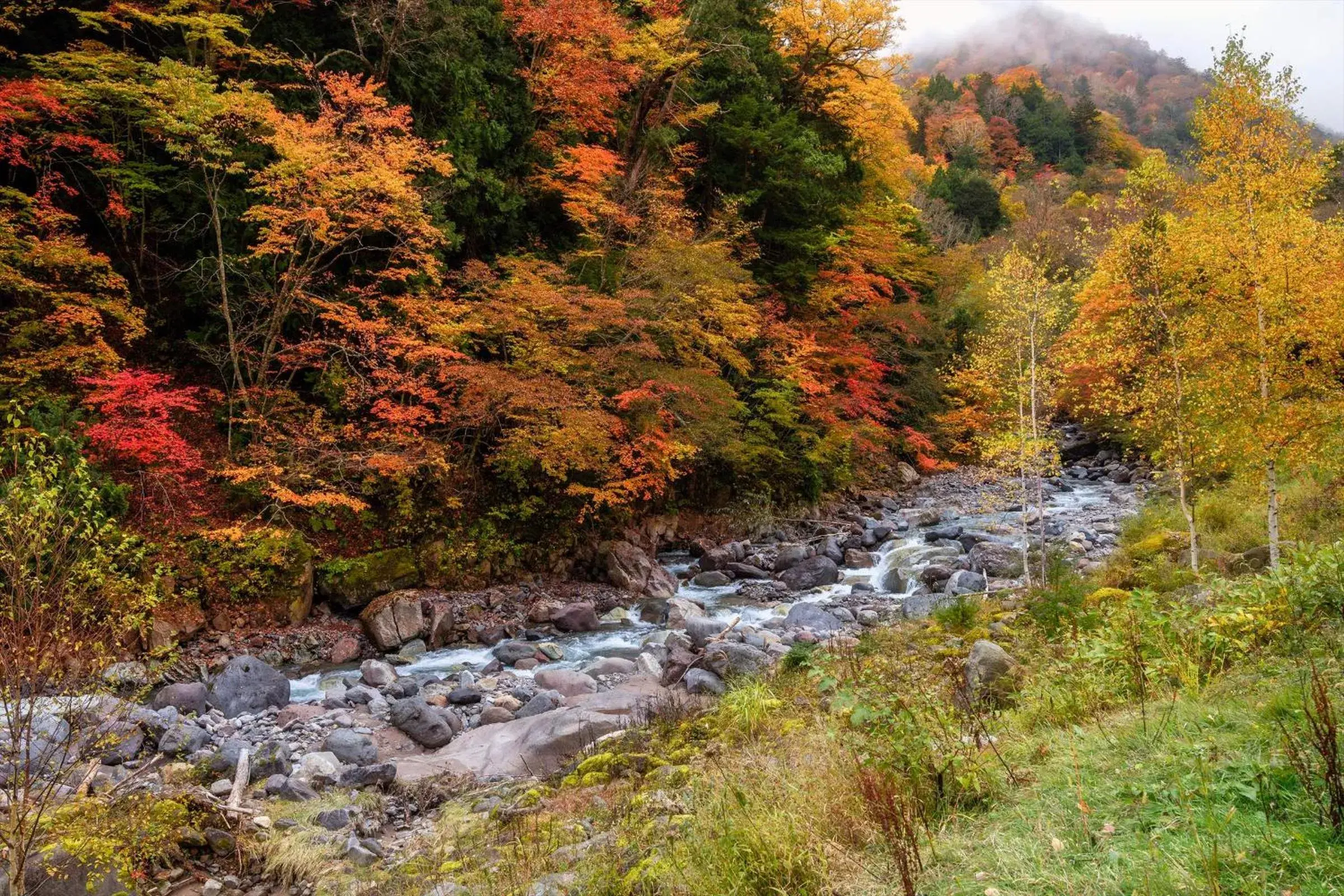 Neighbourhood, Natural Landscape in Hatcho no Yu Hot Spring Ryokan