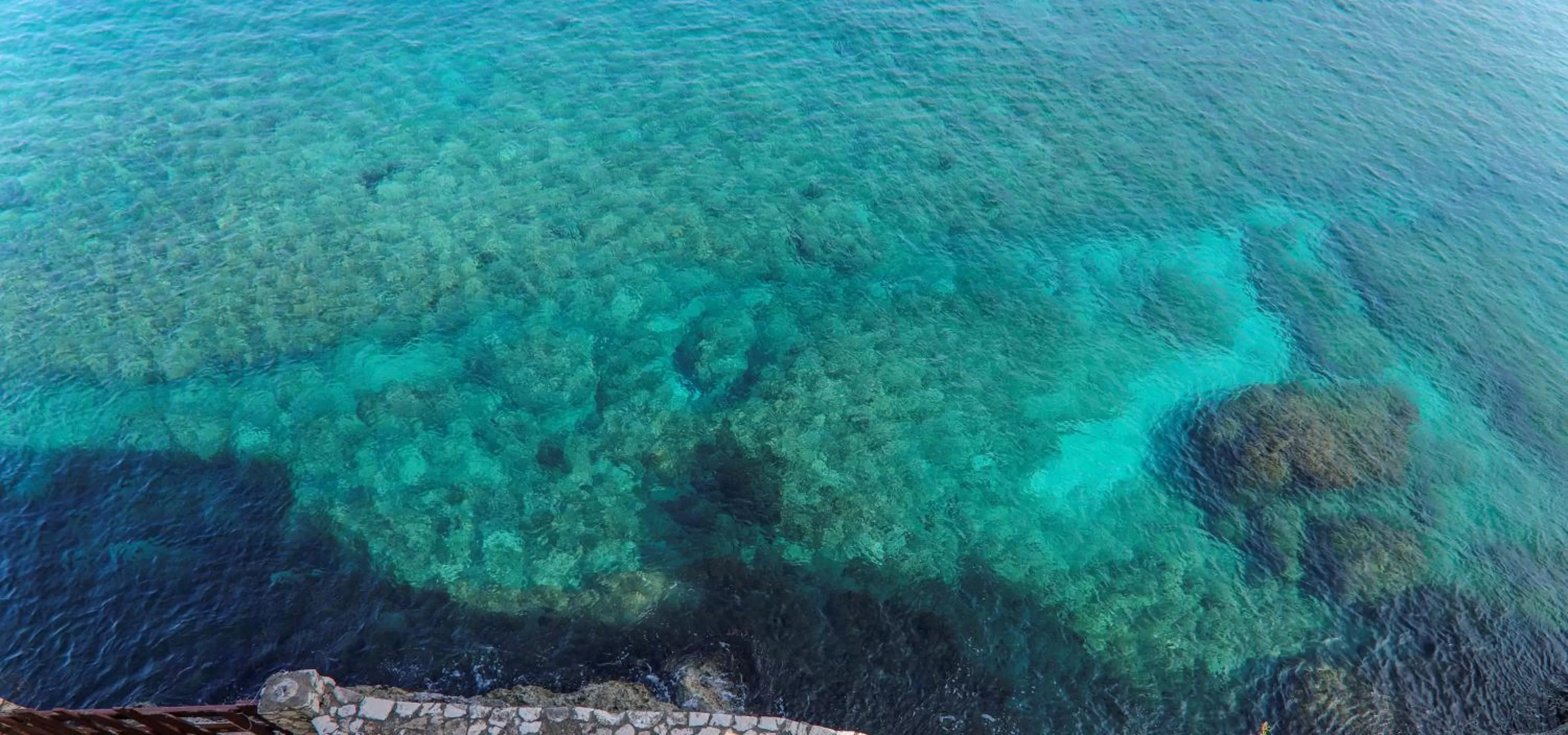 Natural landscape in Home Sweet Home Resort