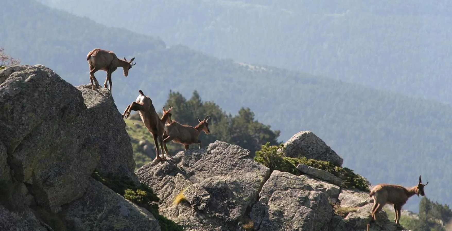 Natural landscape in Serrat del Vent - Adults only